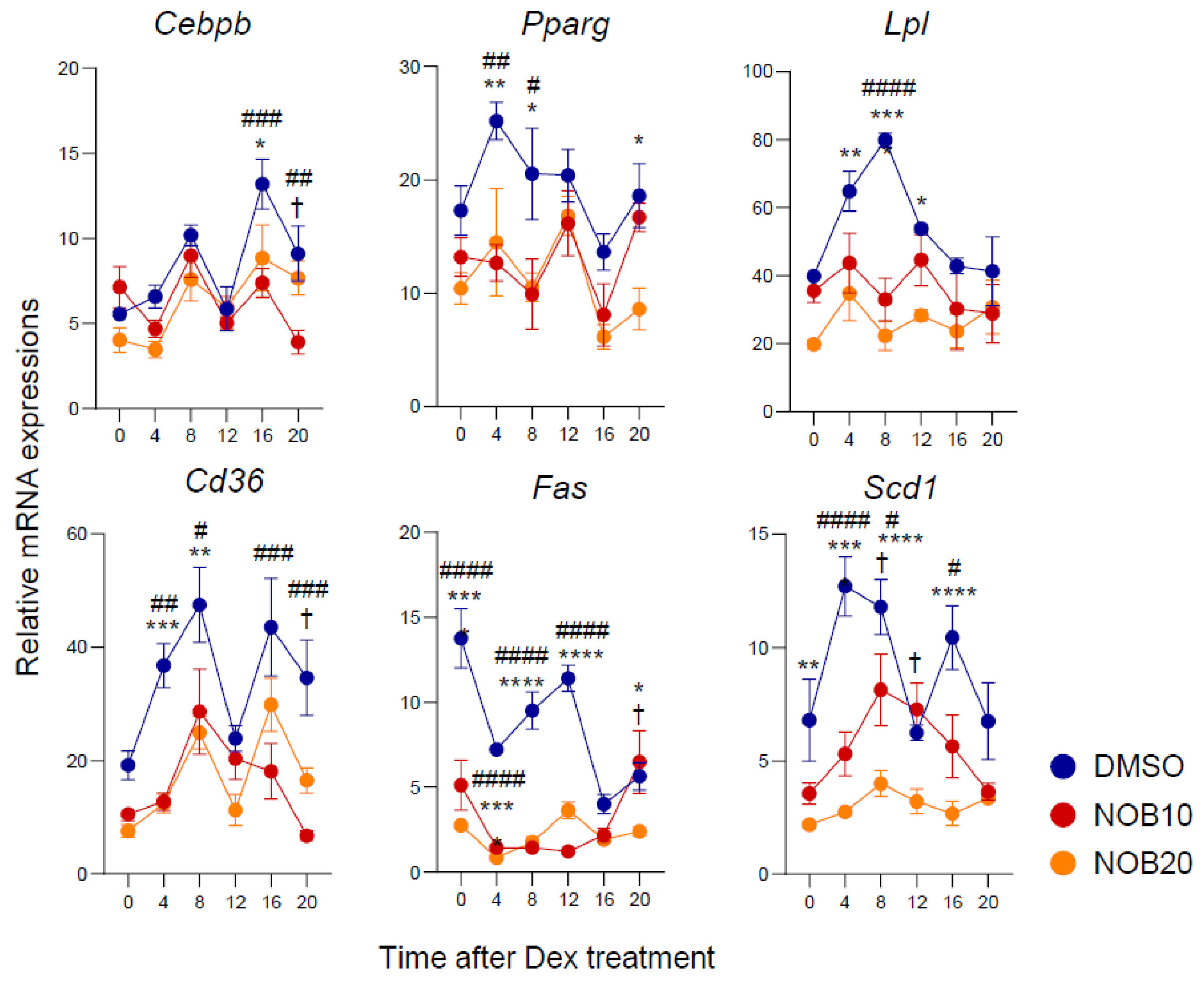 Nutrients 15 03919 g003 Nutrients 15 03919 g003