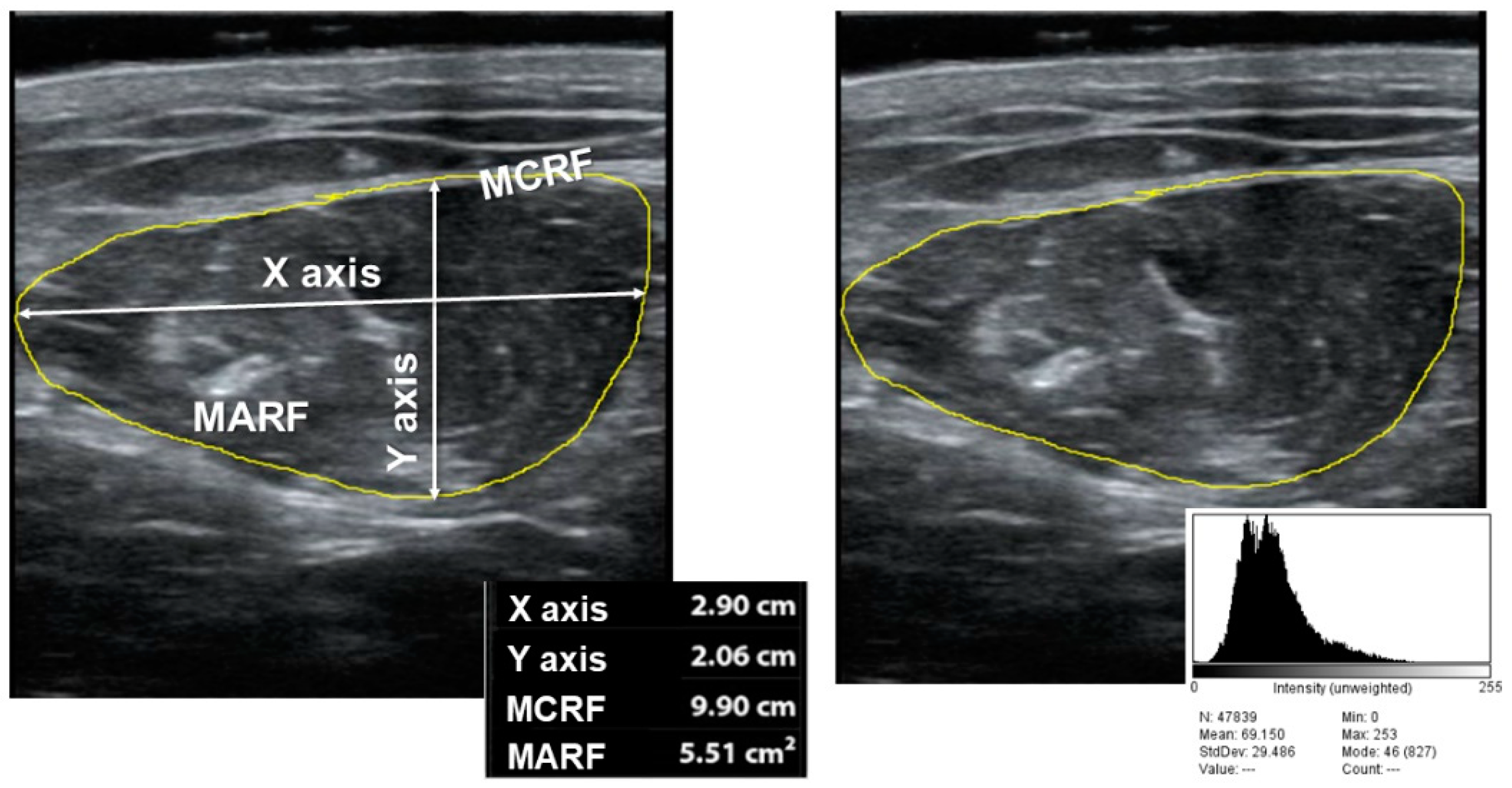 Nutrients 15 03923 g001
