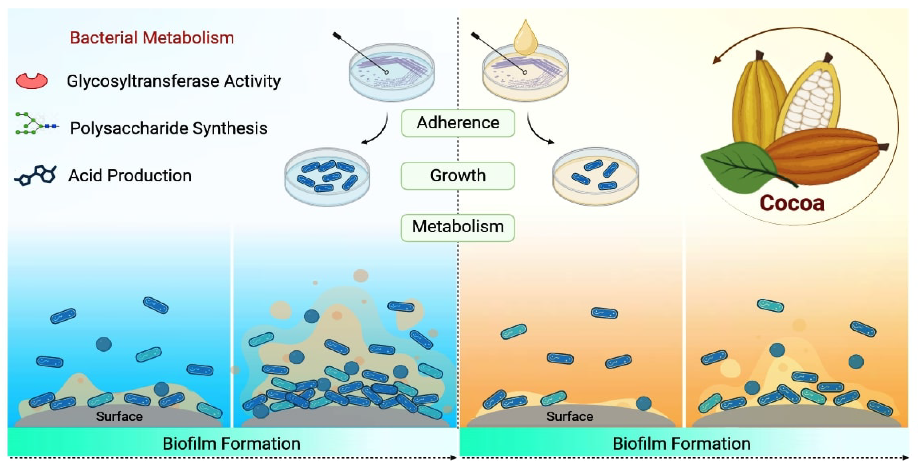 Nutrients 15 03927 g002