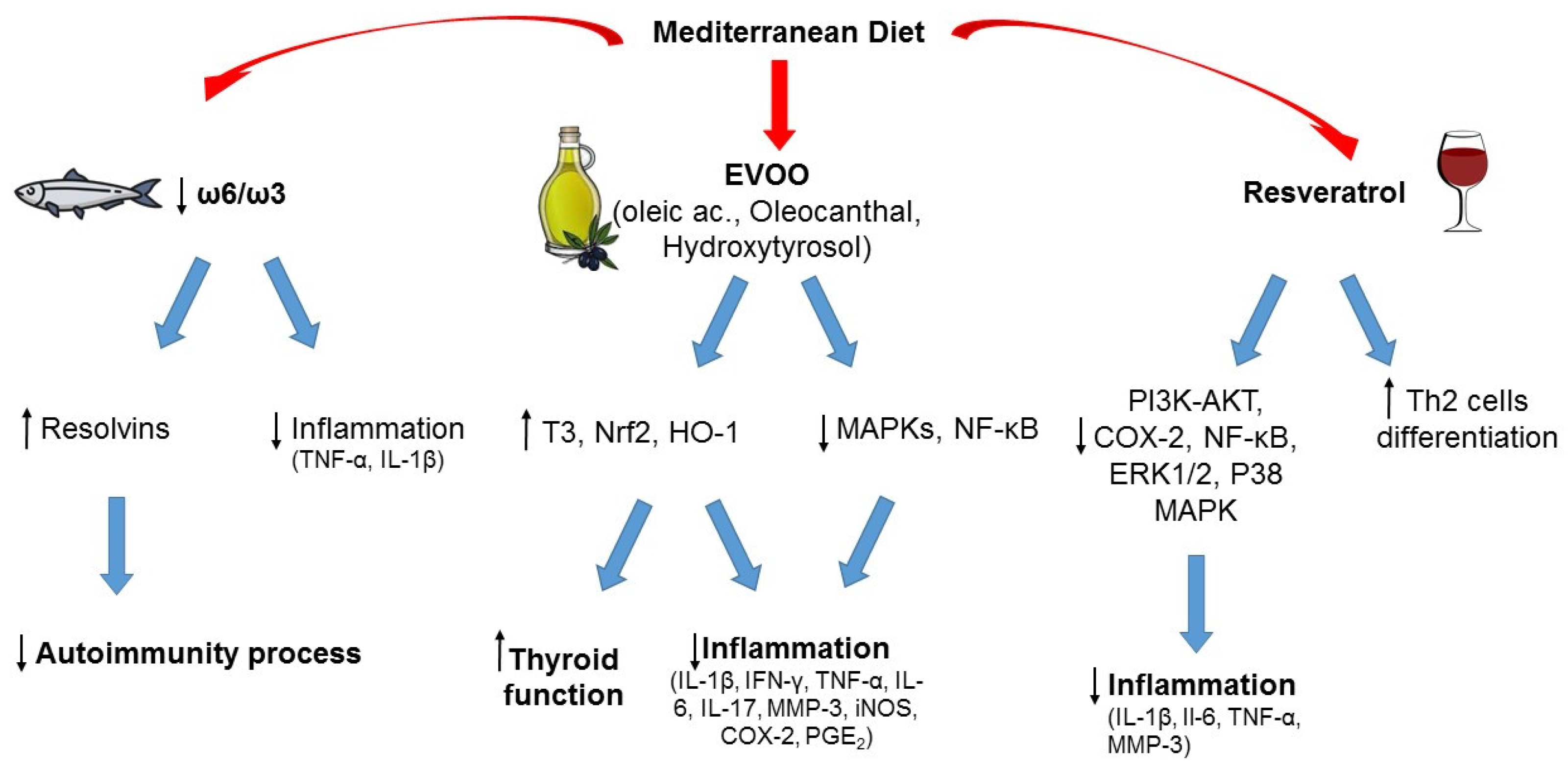 Nutrients 15 03953 g002