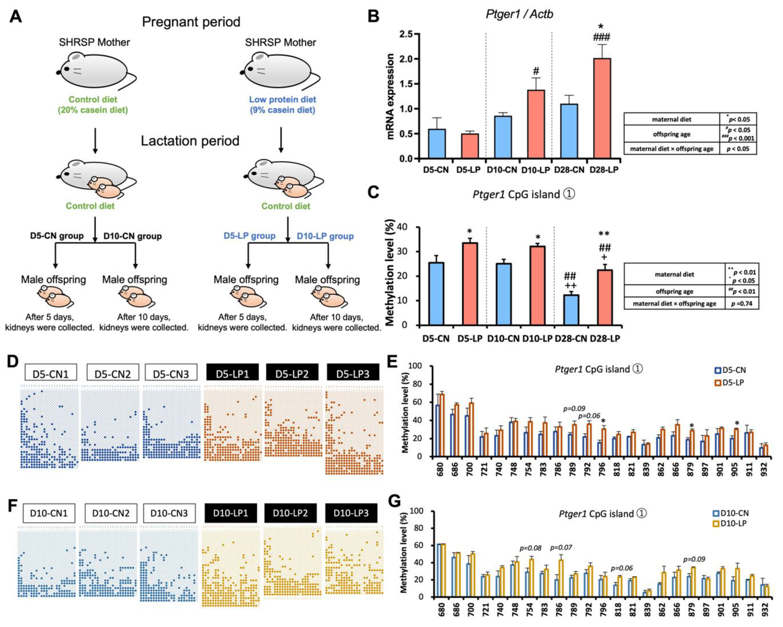 Nutrients 15 03957 g002 Nutrients 15 03957 g002