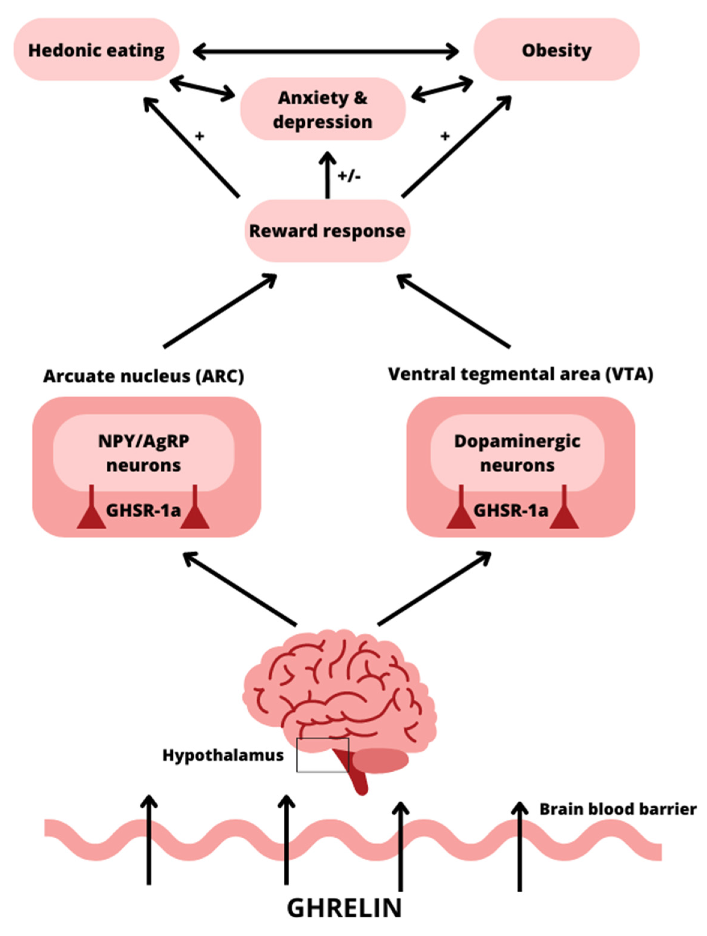 Nutrients 15 03960 g003 Nutrients 15 03960 g003
