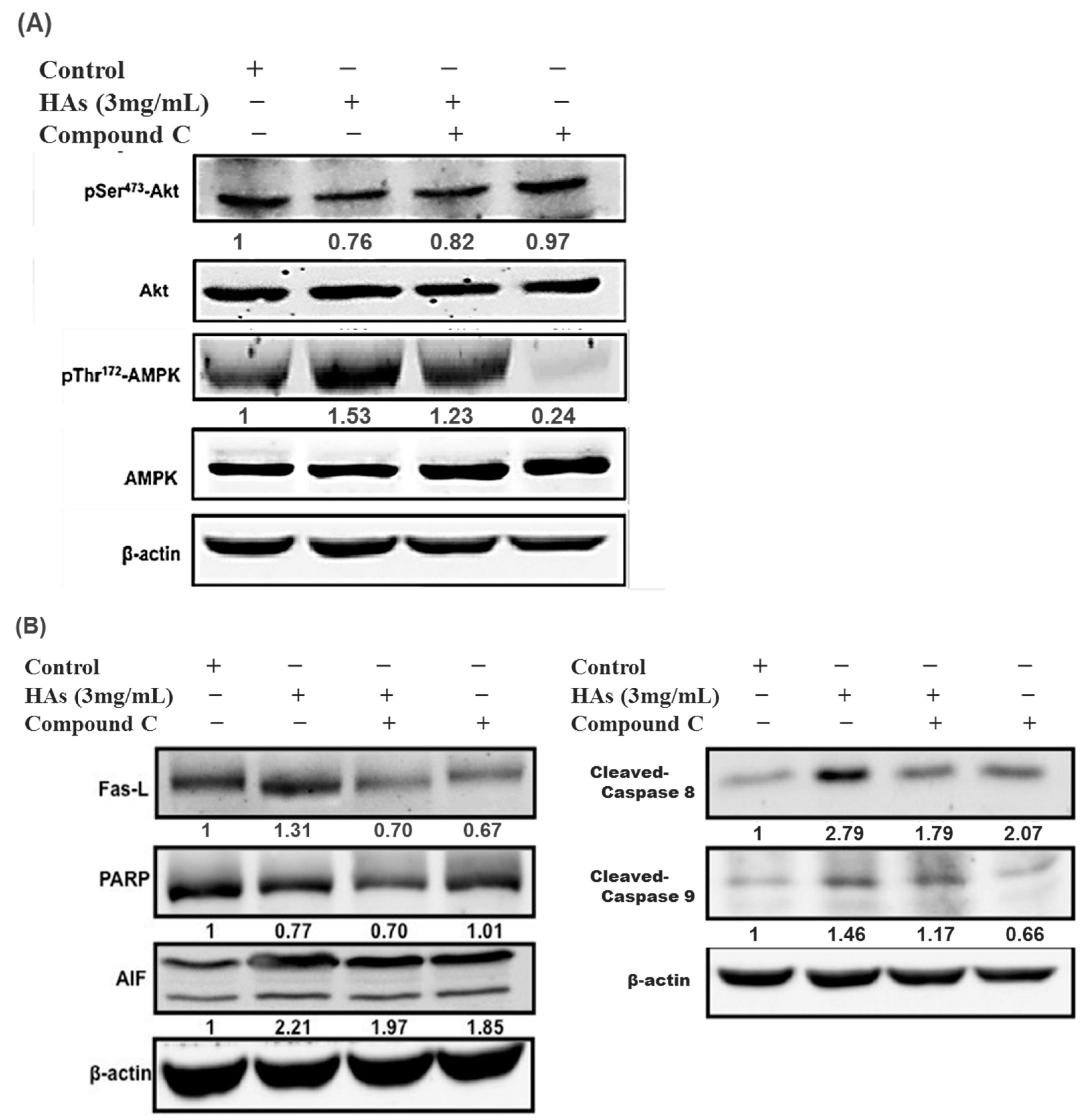 Nutrients 15 03972 g006