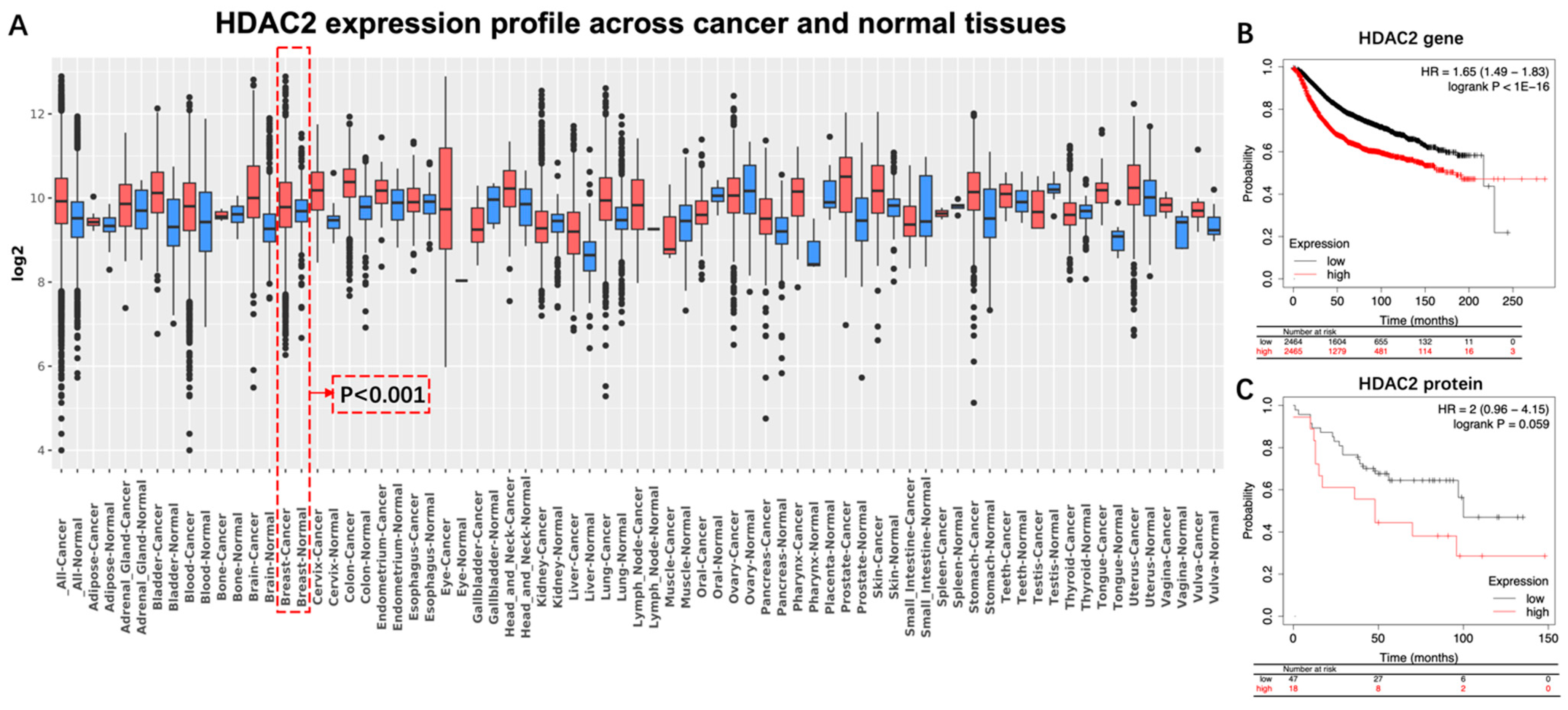Nutrients 15 03984 g001