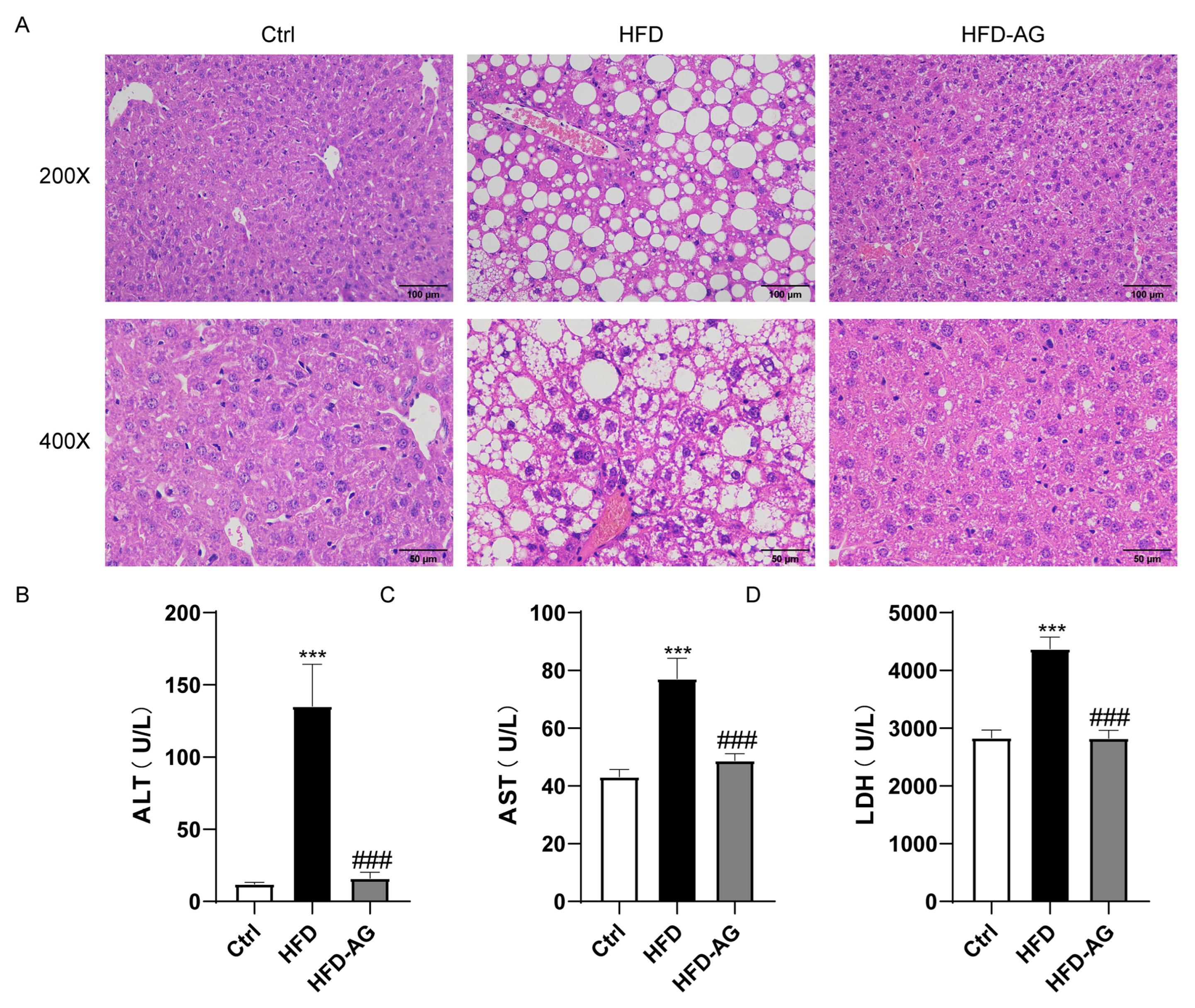 Nutrients 15 03988 g002