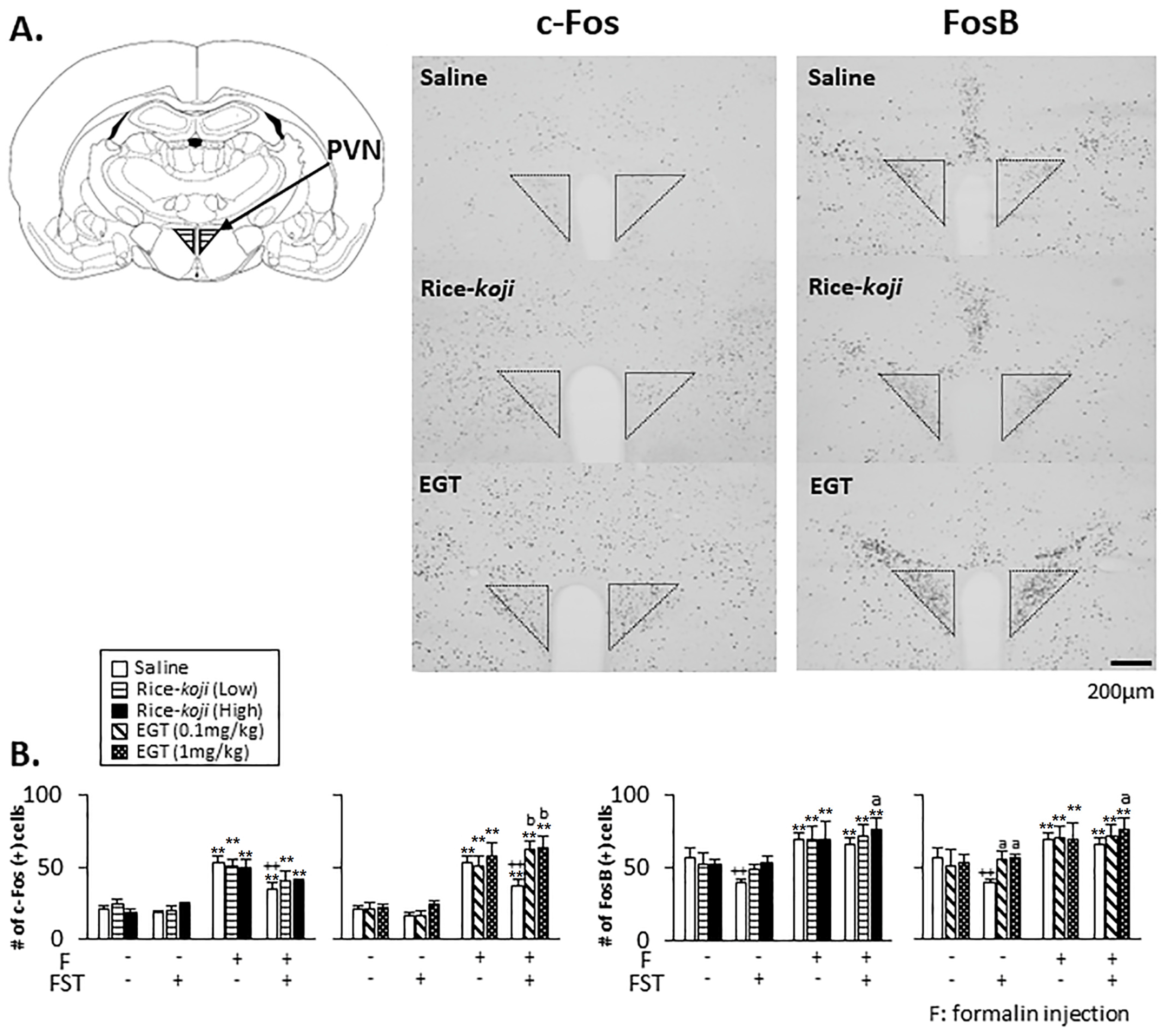 Nutrients 15 03989 g006