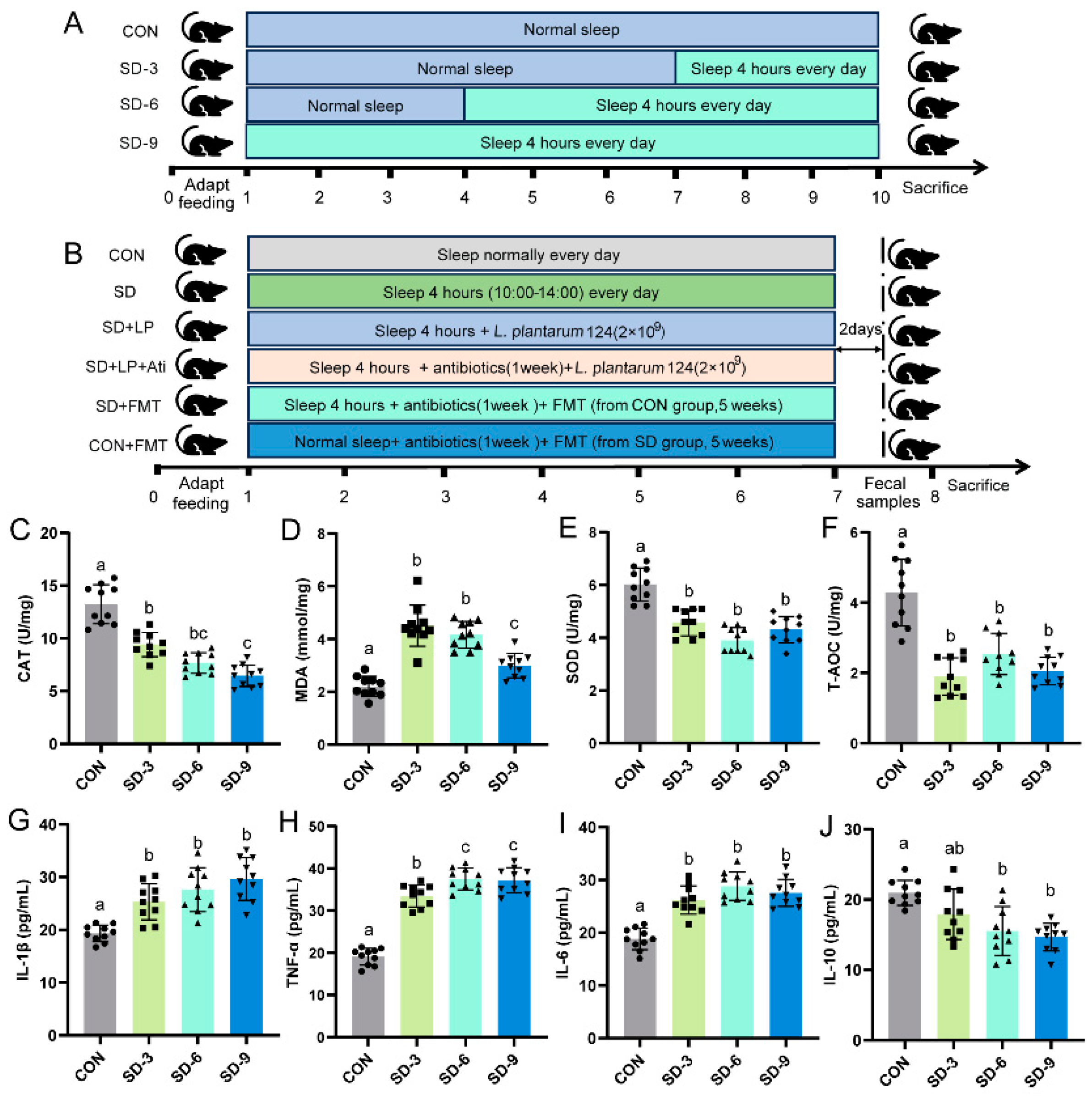 Nutrients 15 04002 g001