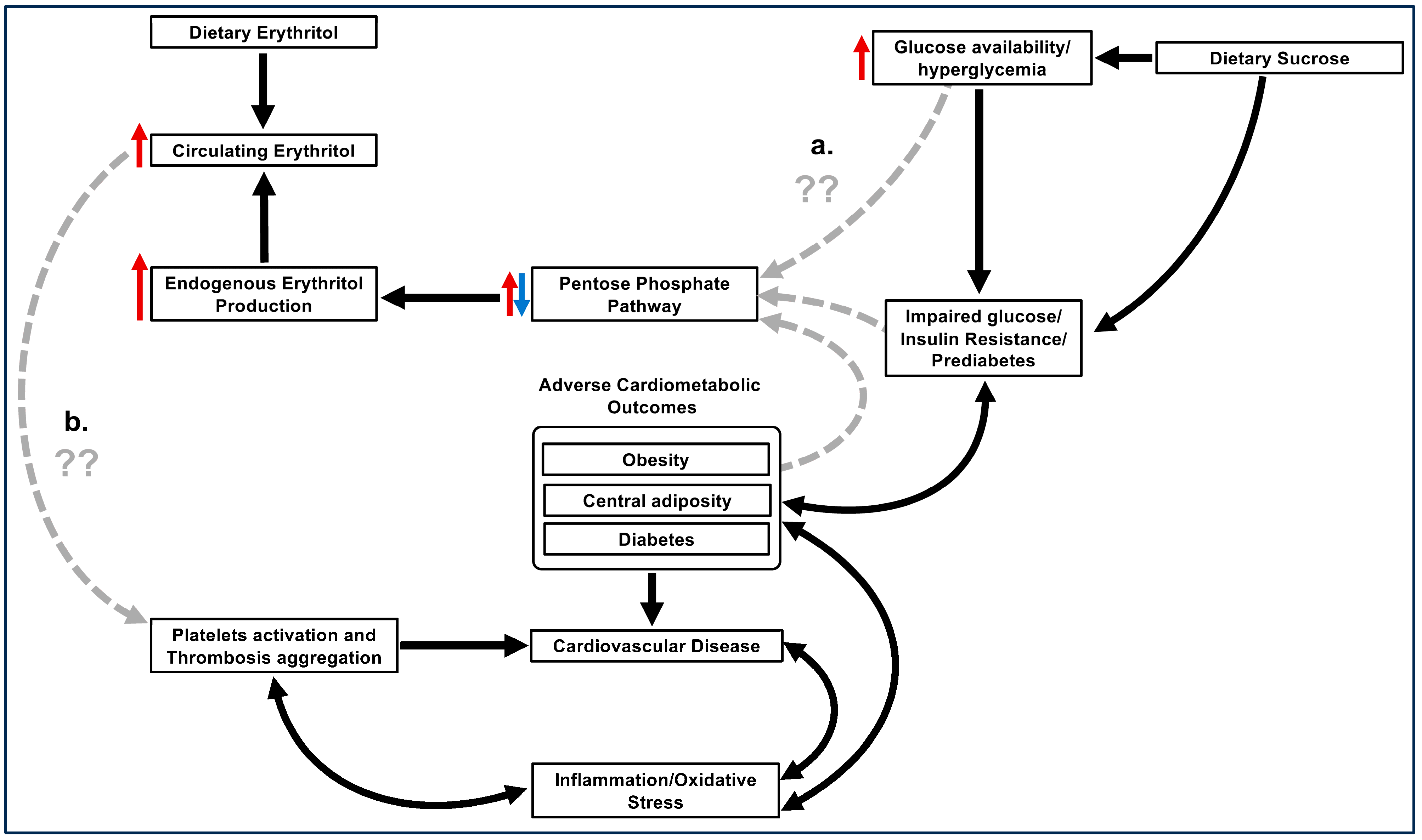 Nutrients 15 04011 g001 Nutrients 15 04011 g001