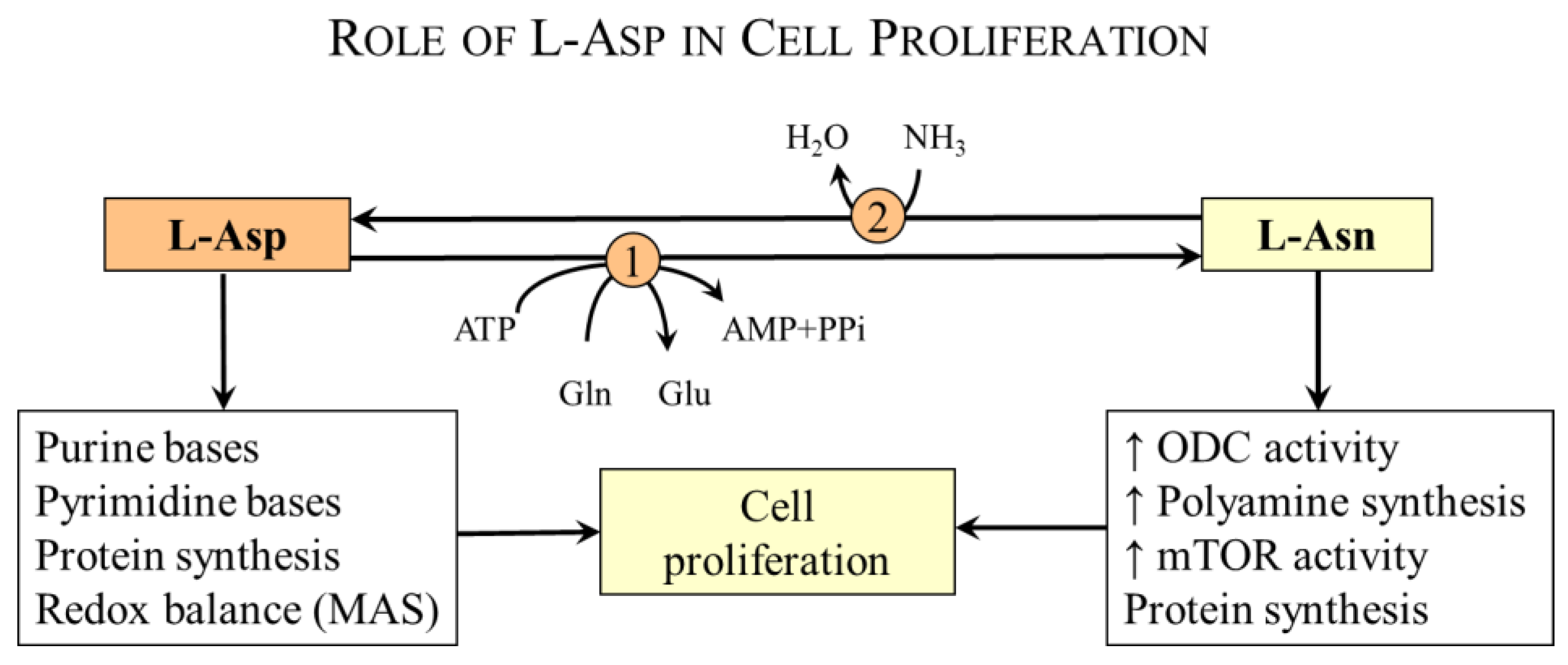 Nutrients 15 04023 g004 Nutrients 15 04023 g004