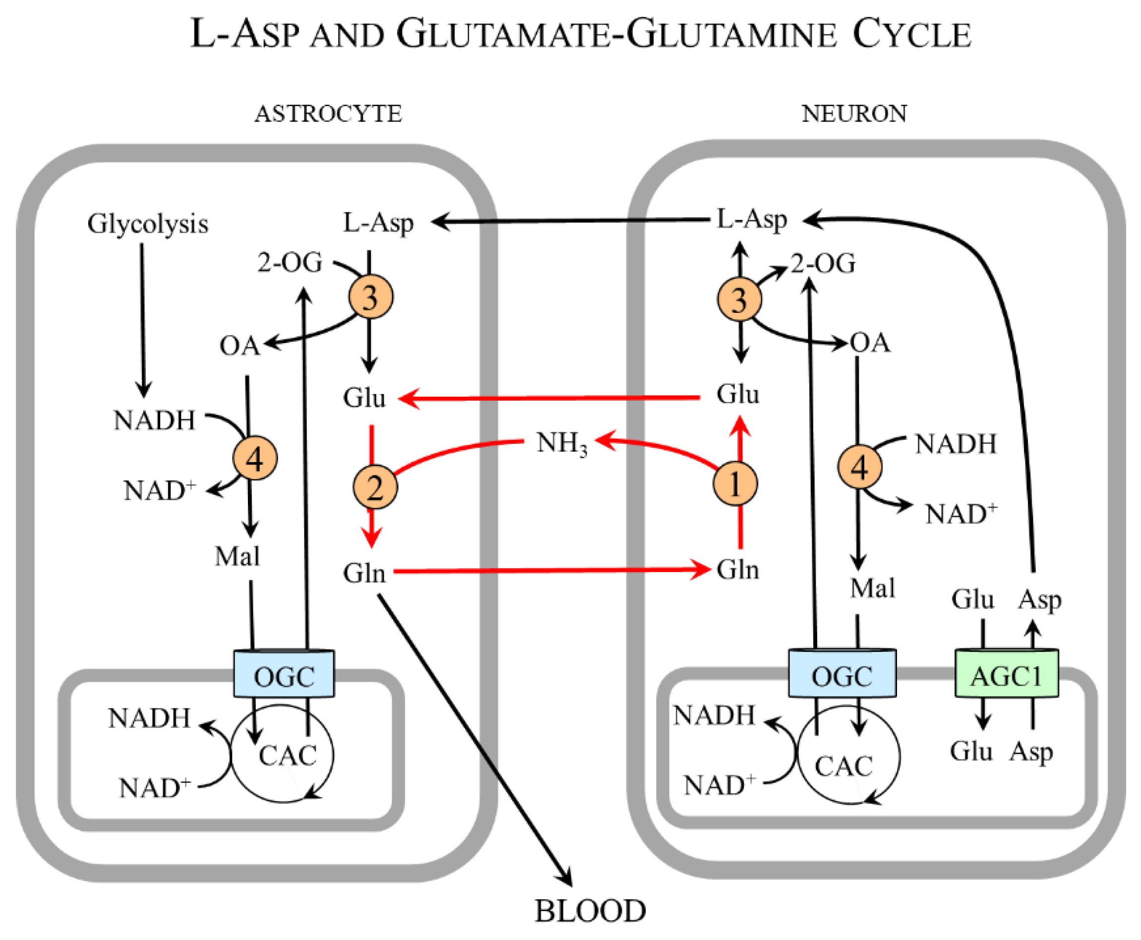 Nutrients 15 04023 g008 Nutrients 15 04023 g008