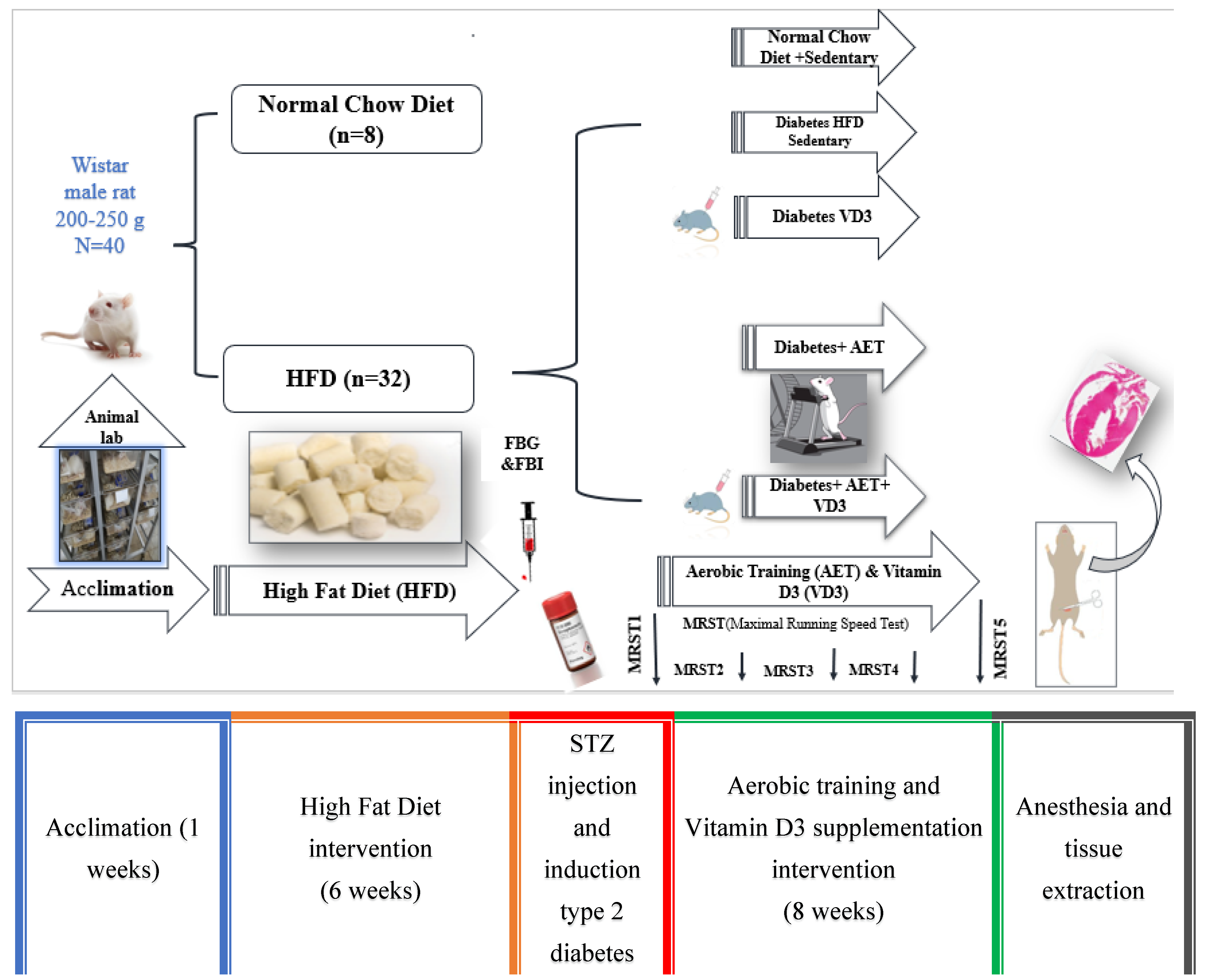 Nutrients 15 04024 g001