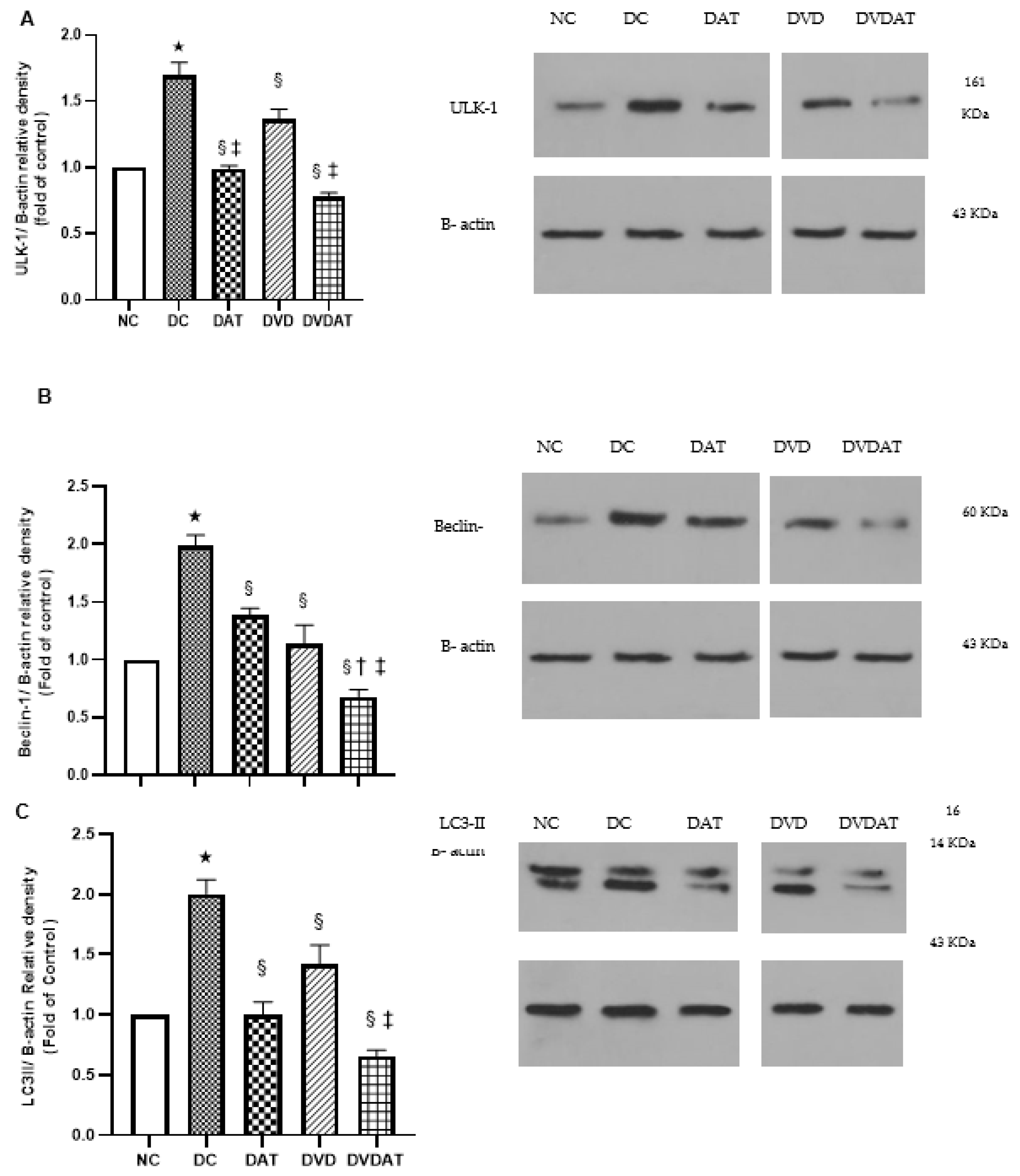 Nutrients 15 04024 g004a