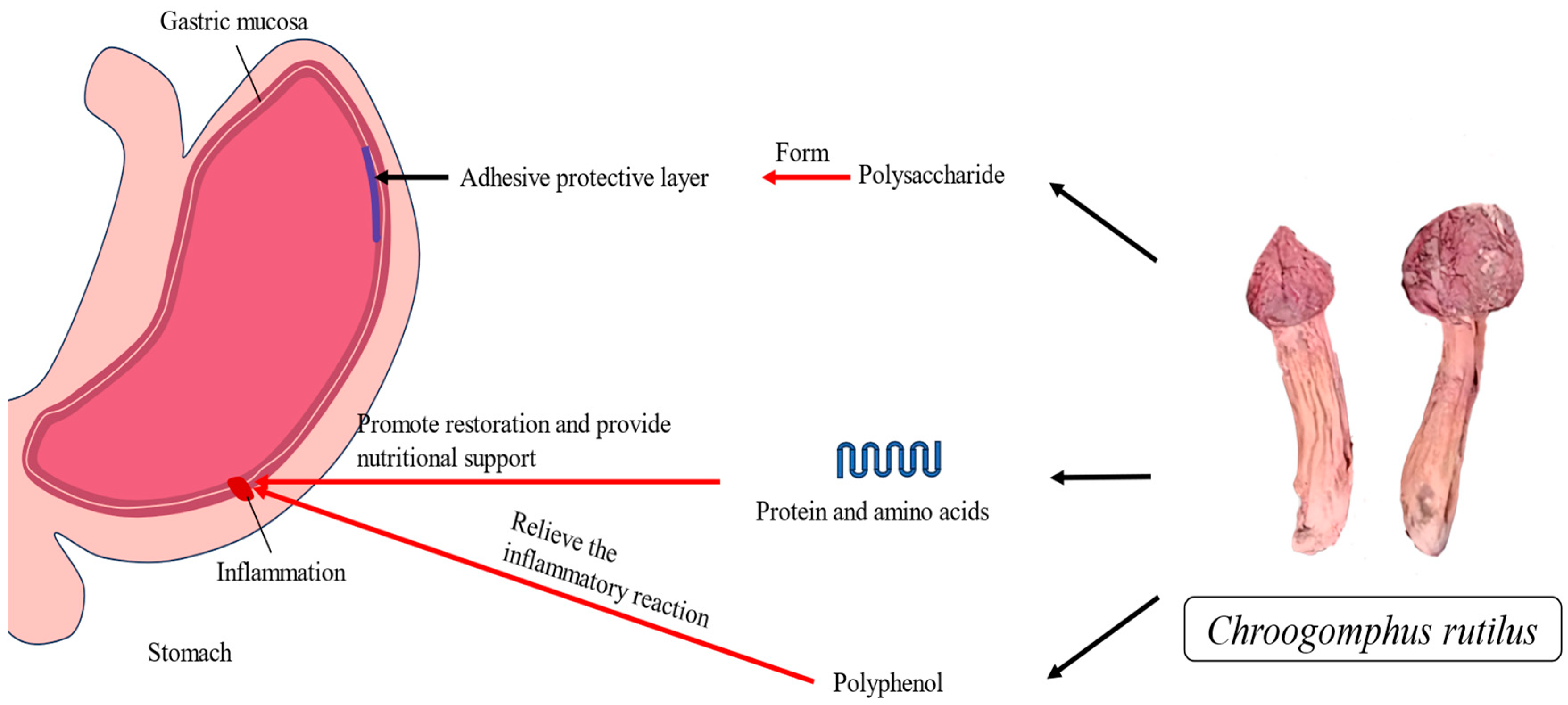 Nutrients 15 04030 g003 Nutrients 15 04030 g003
