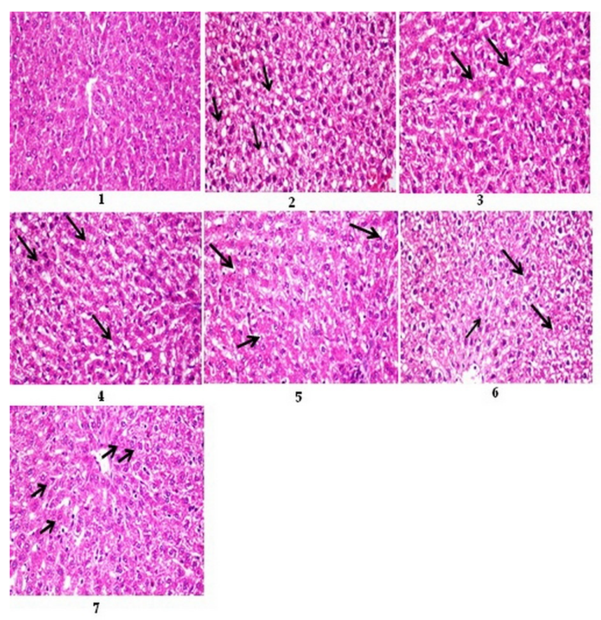 Nutrients 15 04037 g001 Nutrients 15 04037 g001