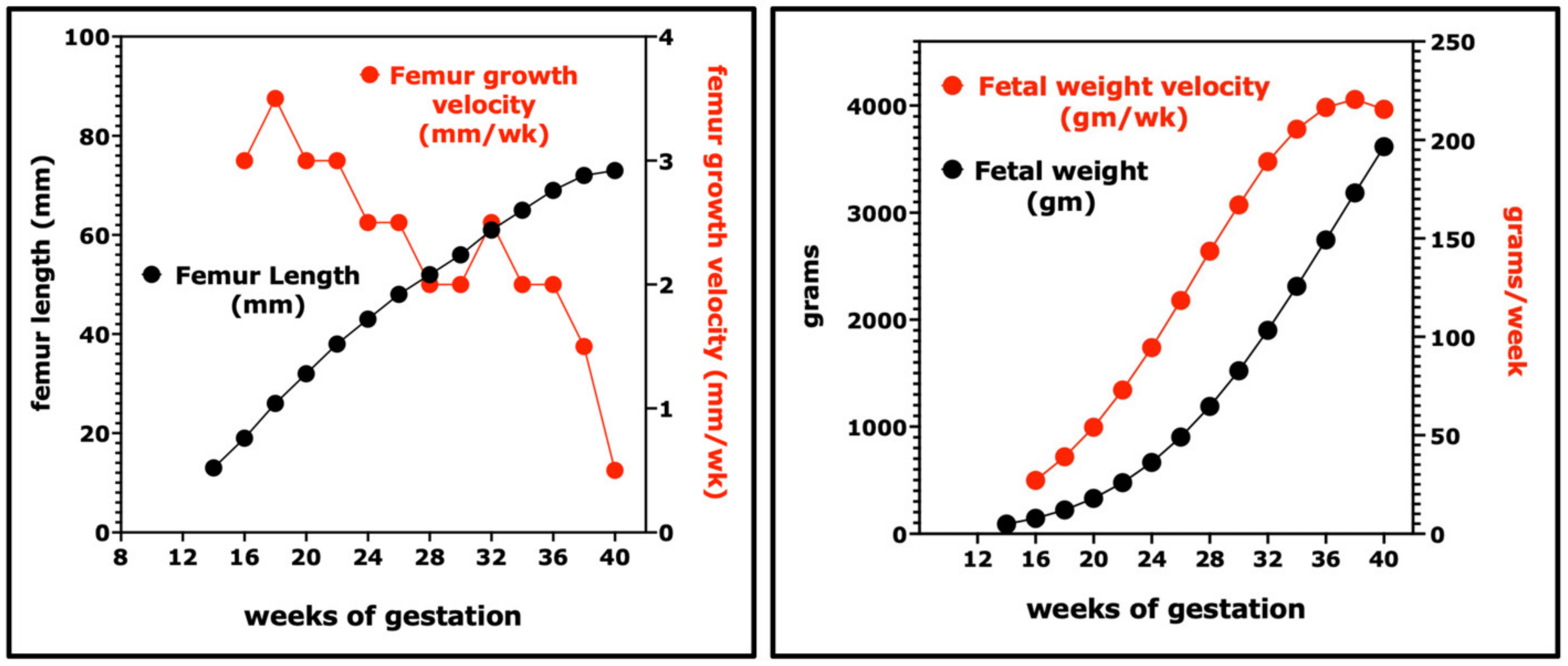 Nutrients 15 04041 g001 Nutrients 15 04041 g001