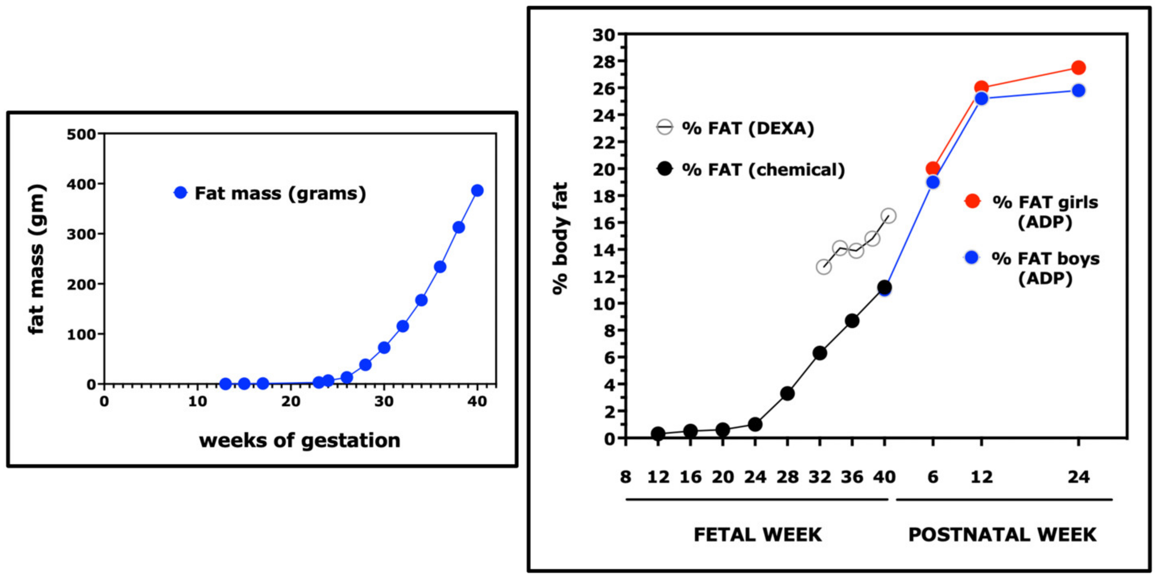 Nutrients 15 04041 g002 Nutrients 15 04041 g002