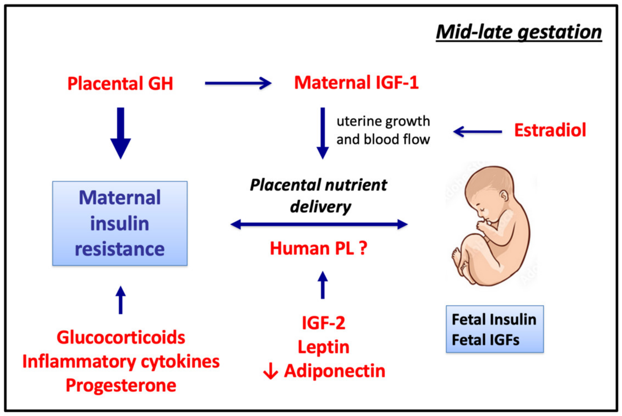 Nutrients 15 04041 g005 Nutrients 15 04041 g005