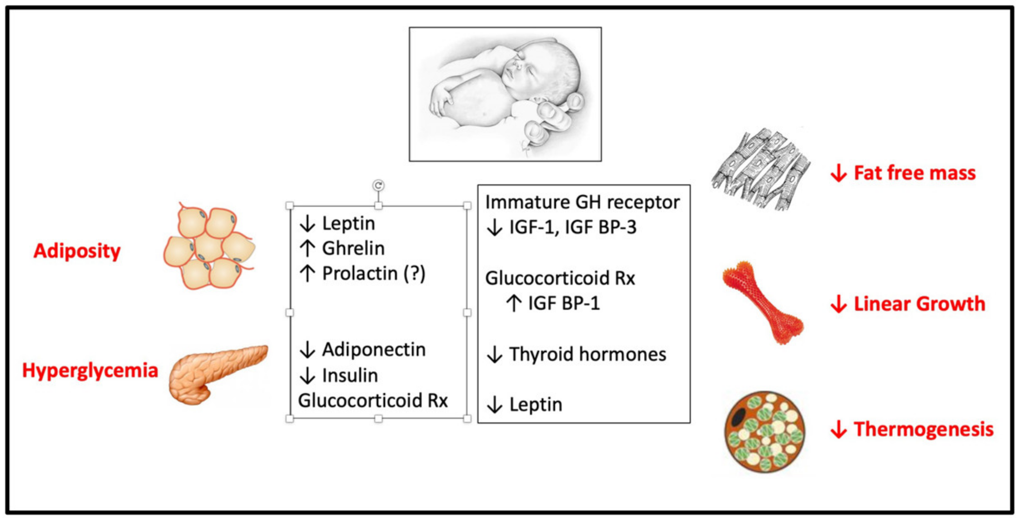 Nutrients 15 04041 g015 Nutrients 15 04041 g015