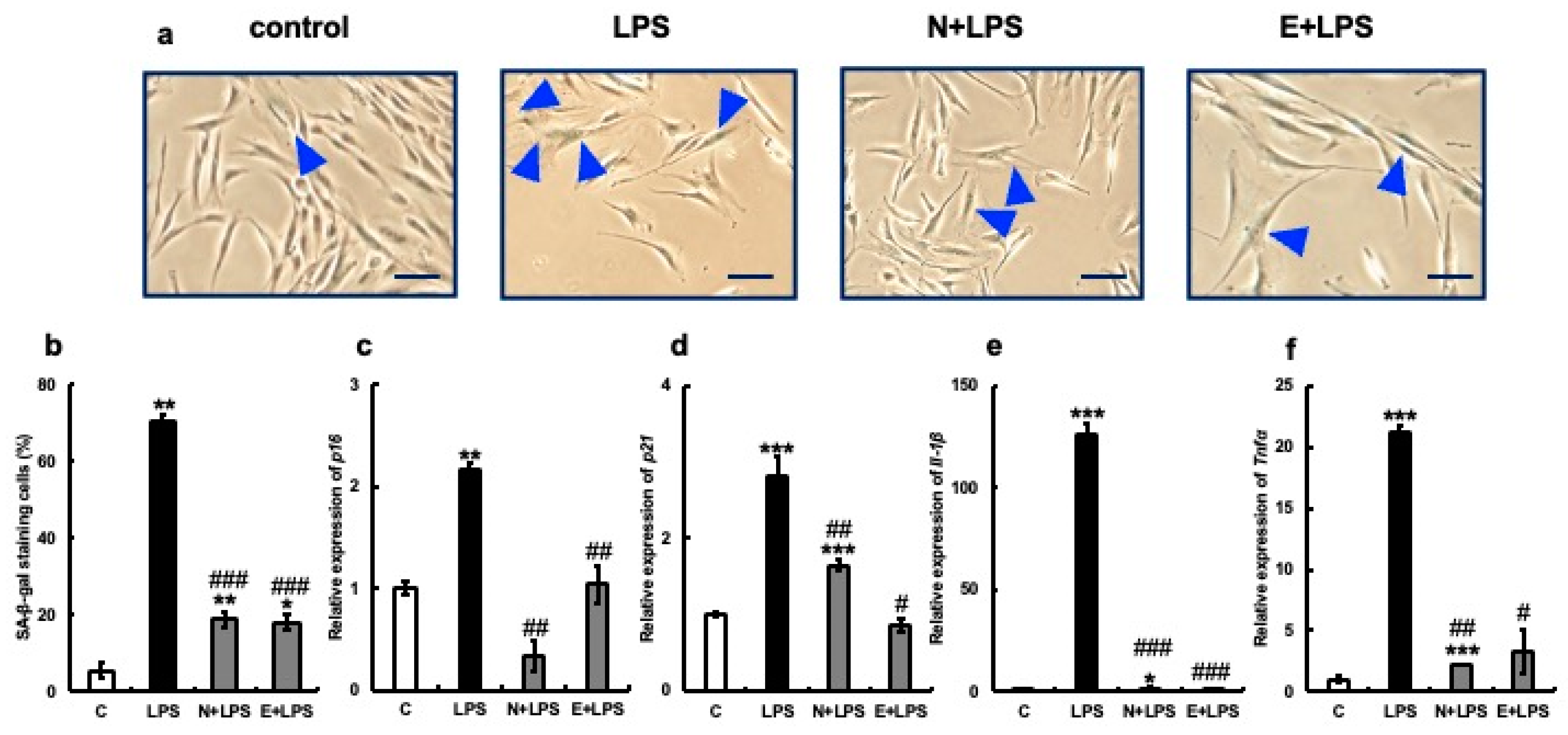 Nutrients 15 04050 g005