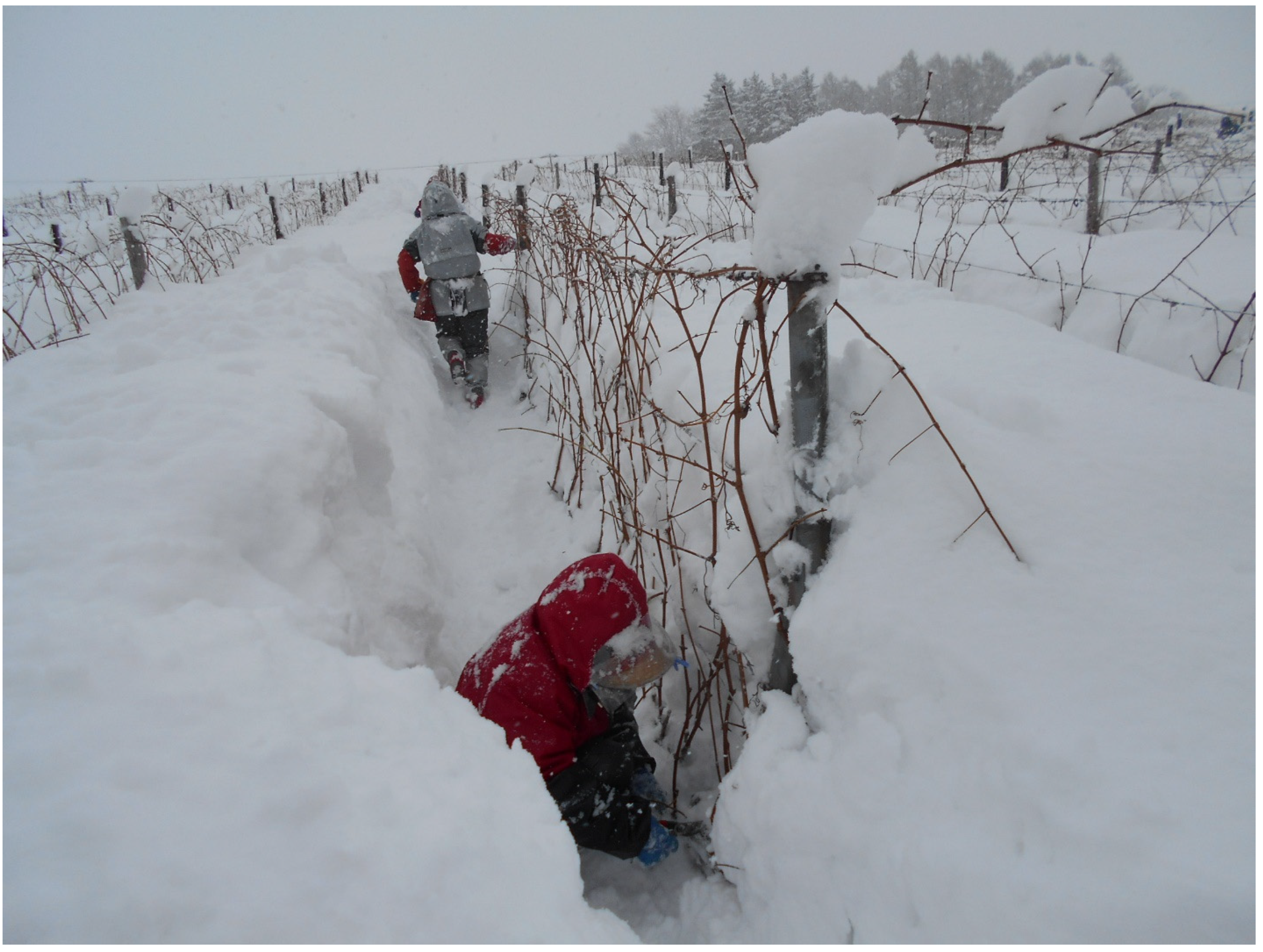 Nutrients 15 04054 g001