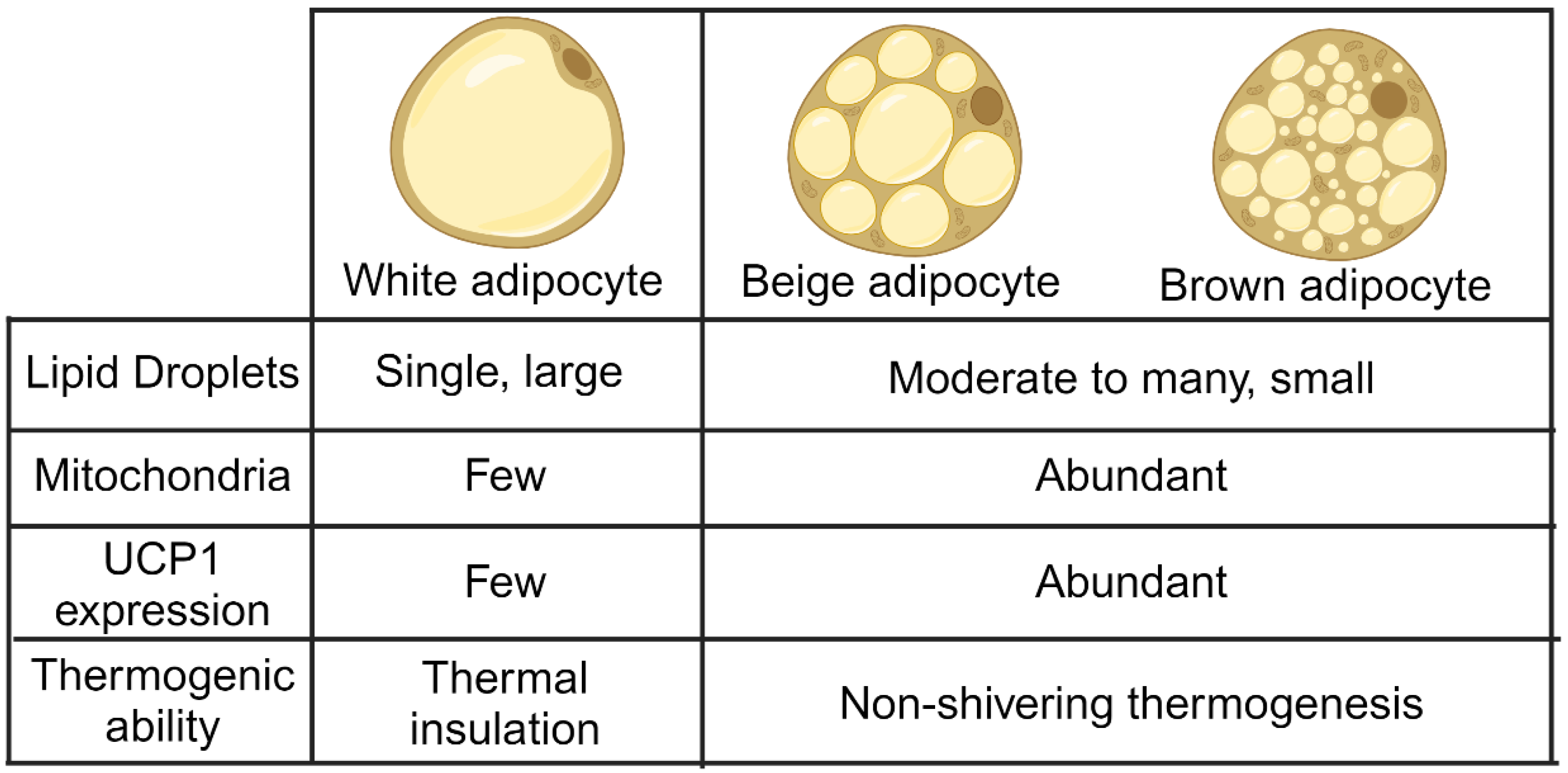 Nutrients 15 04072 g001 Nutrients 15 04072 g001