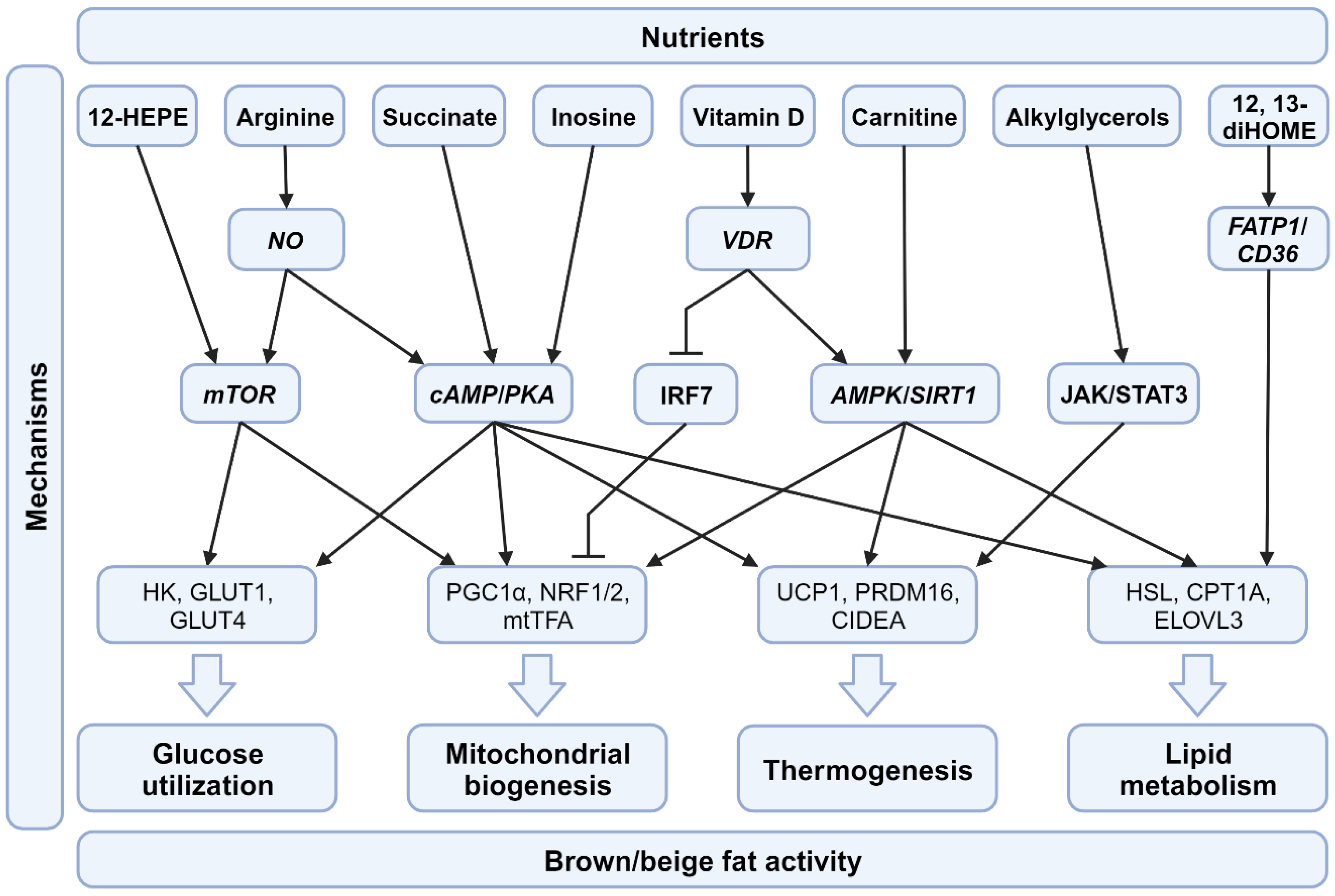 Nutrients 15 04072 g002 Nutrients 15 04072 g002