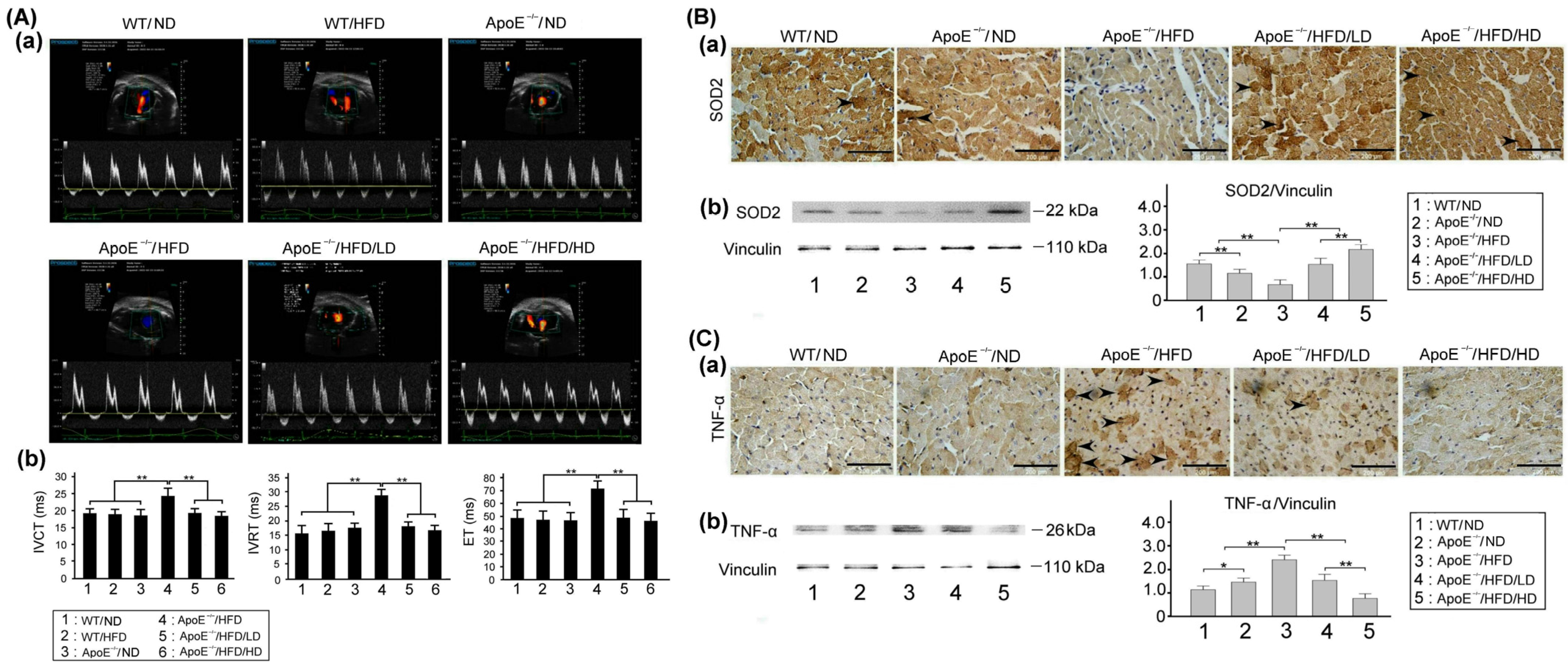 Nutrients 15 04074 g009
