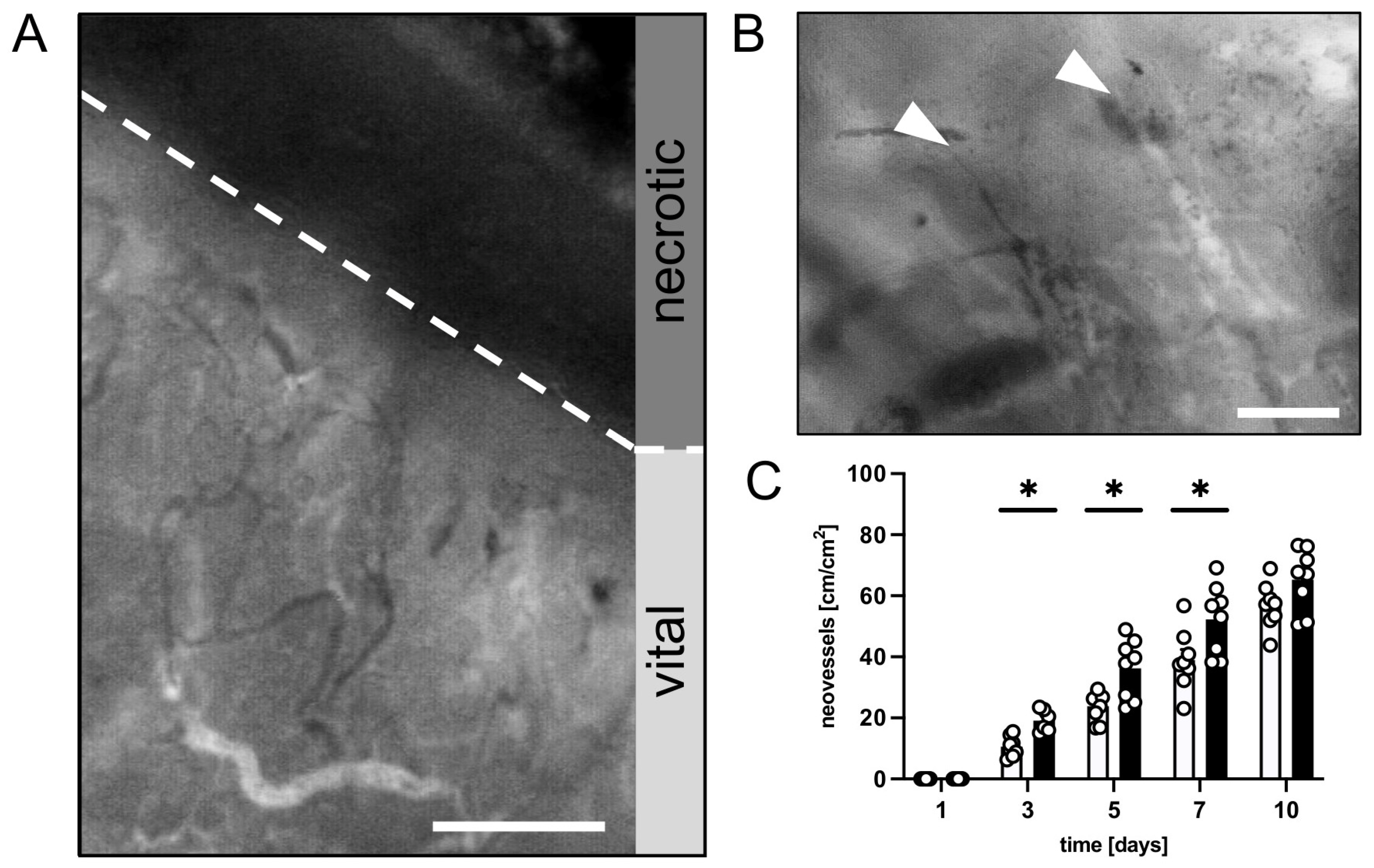 Nutrients 15 04076 g003
