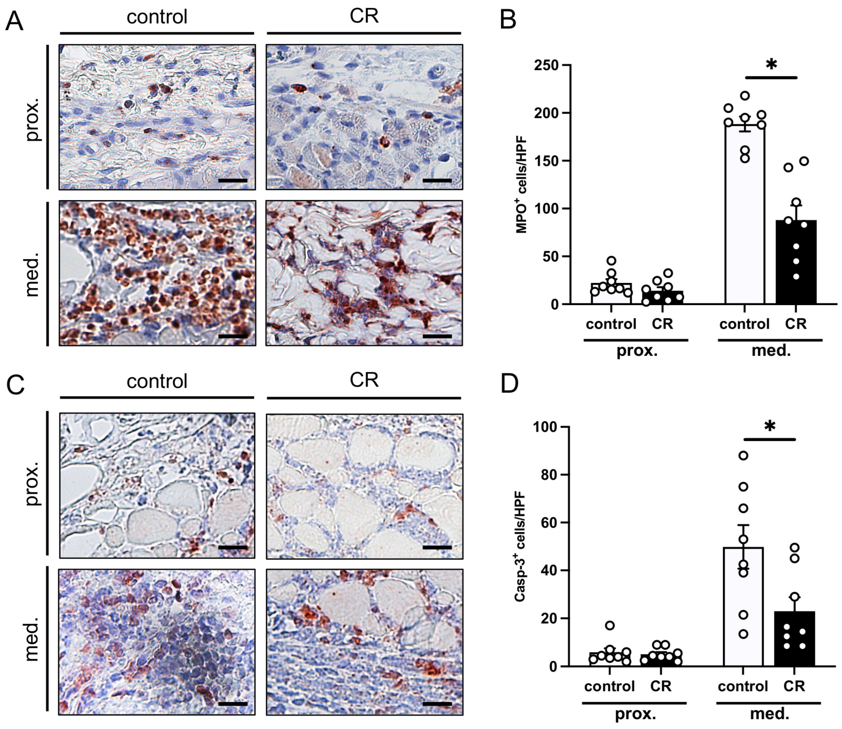 Nutrients 15 04076 g004