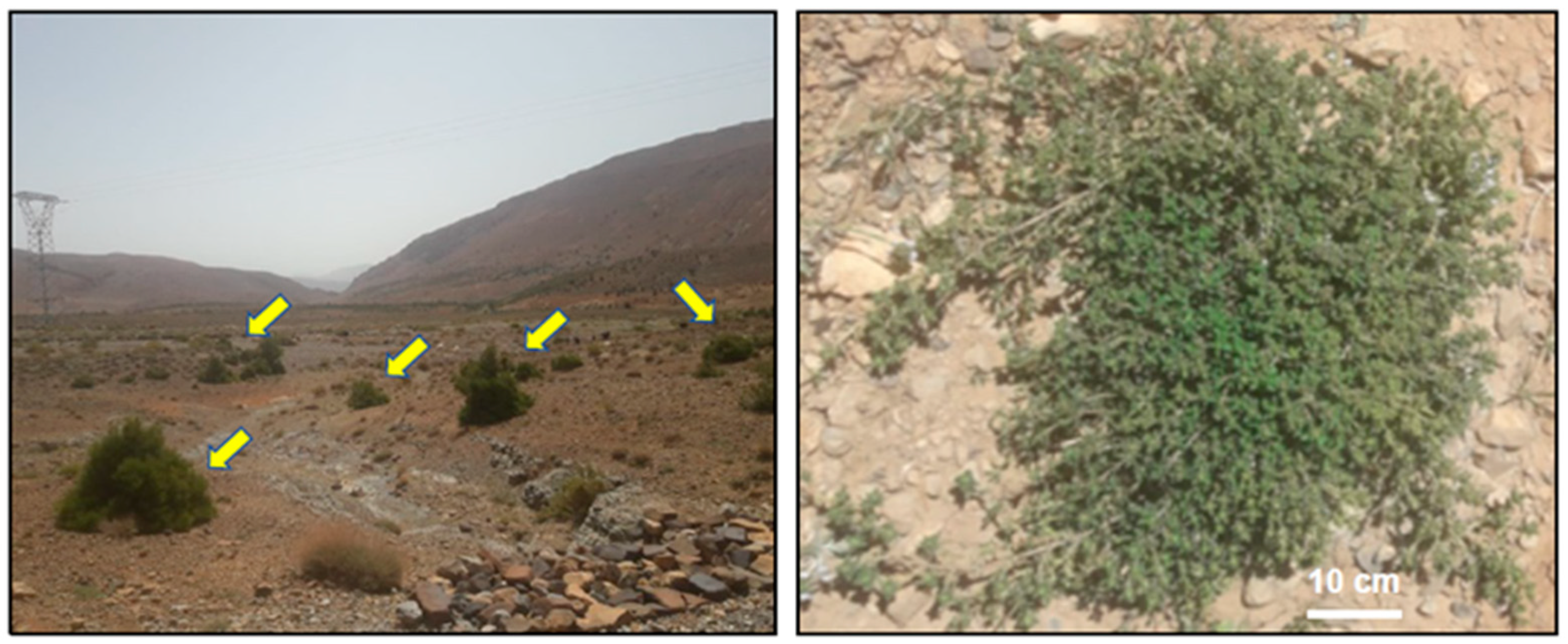 Nutrients 15 04077 g001