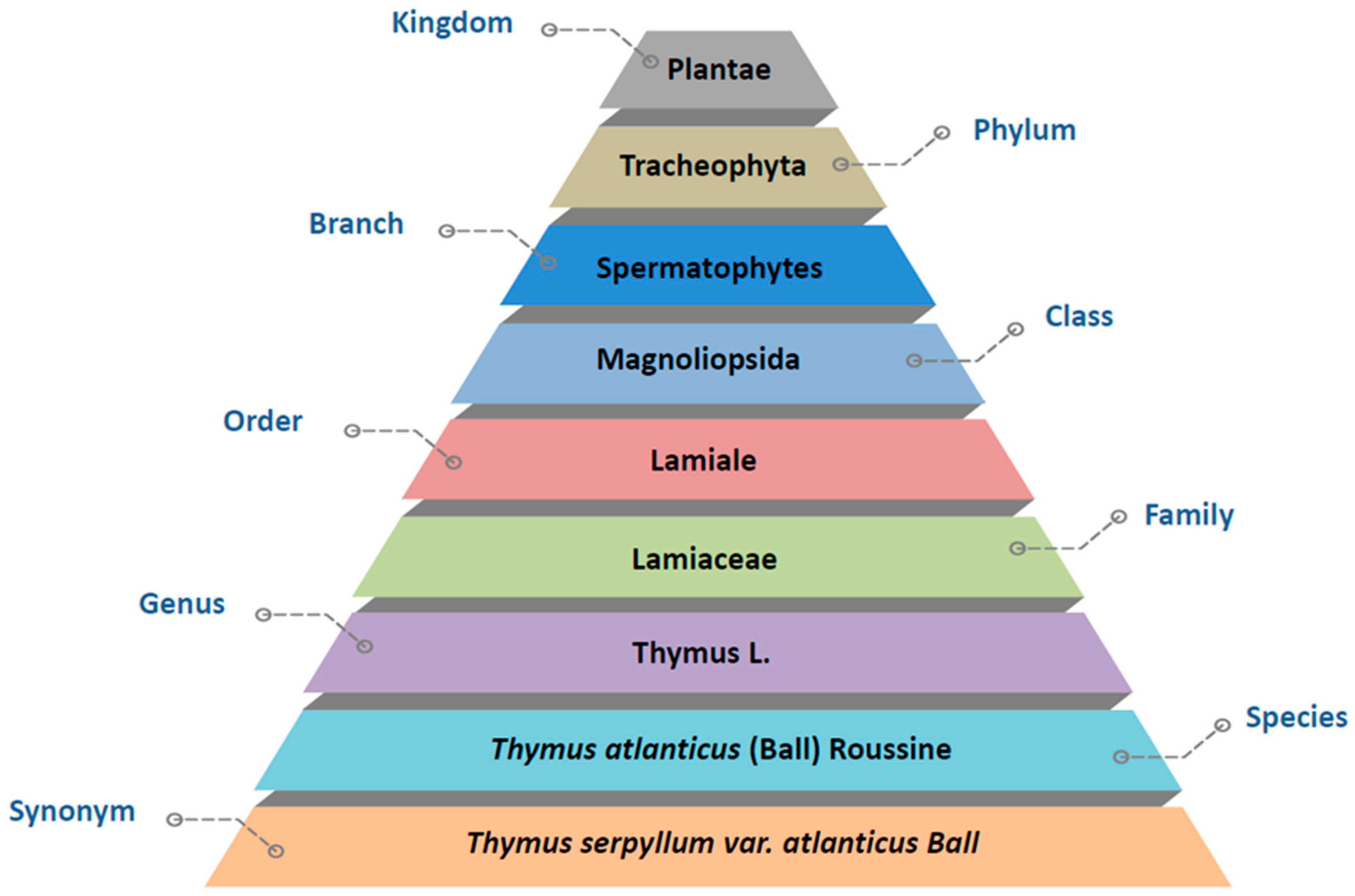 Nutrients 15 04077 g002