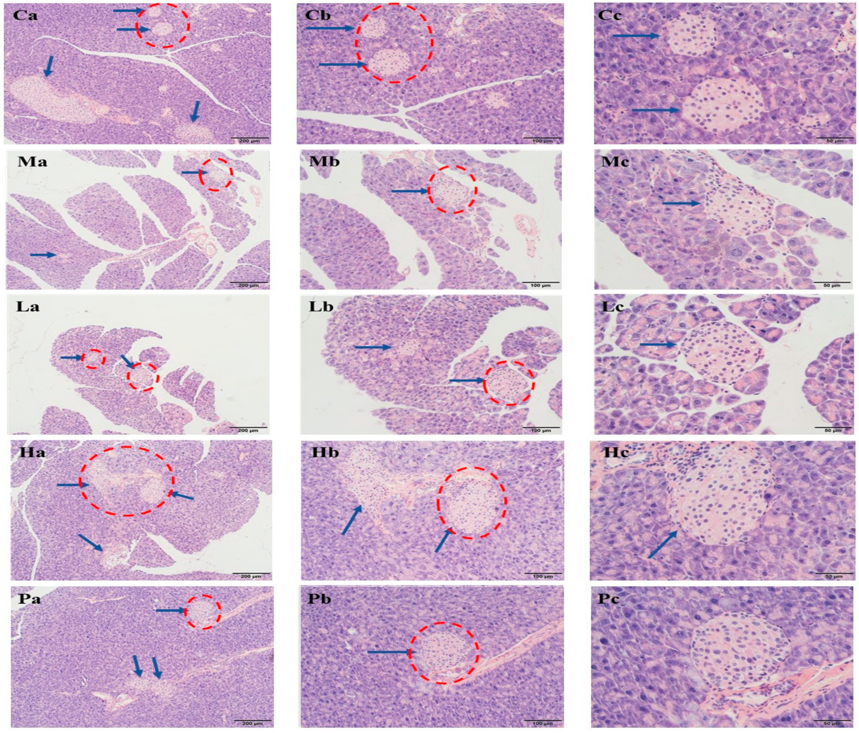 Nutrients 15 04080 g004