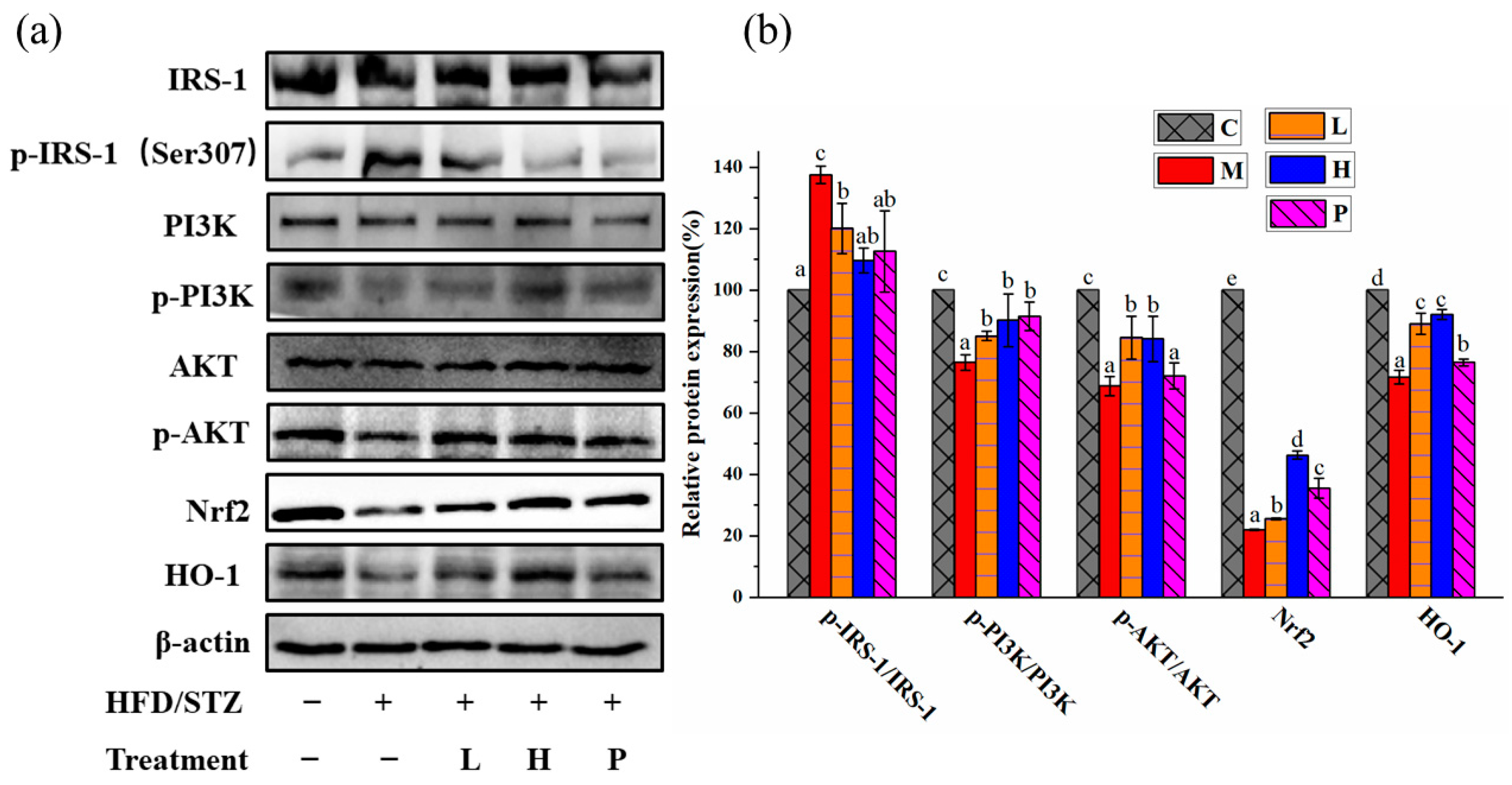 Nutrients 15 04080 g007