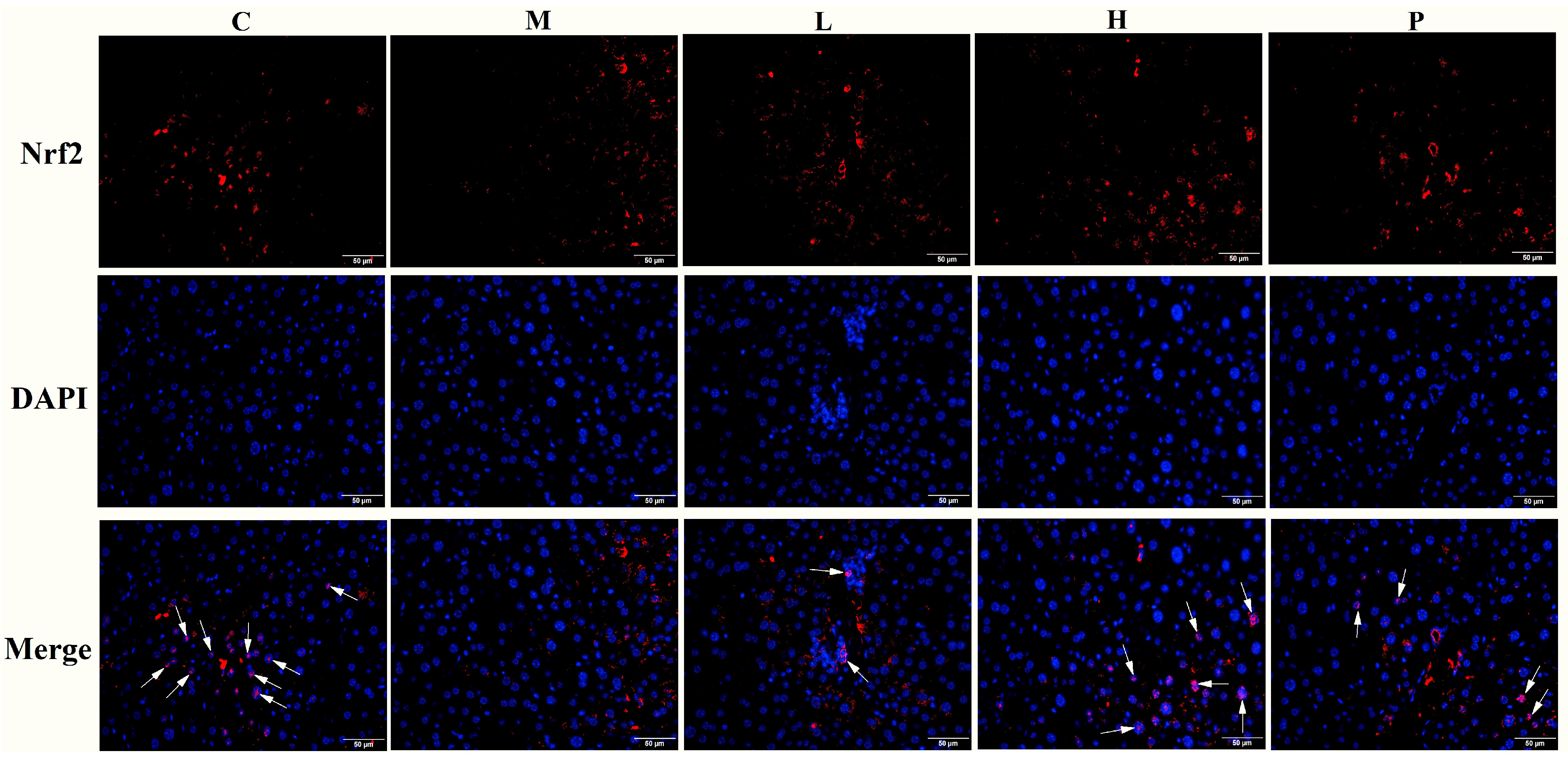 Nutrients 15 04080 g008