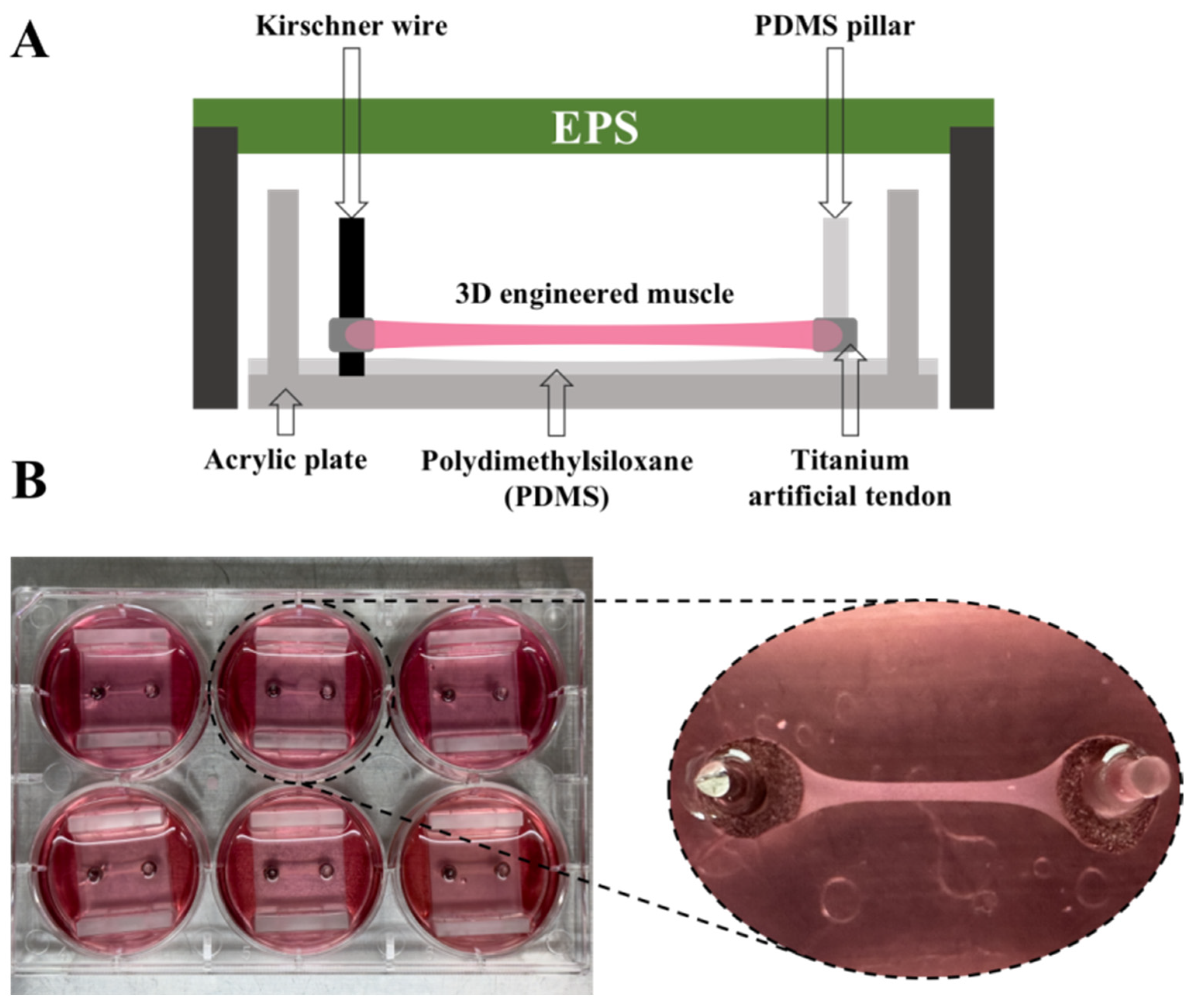 Nutrients 15 04083 g001