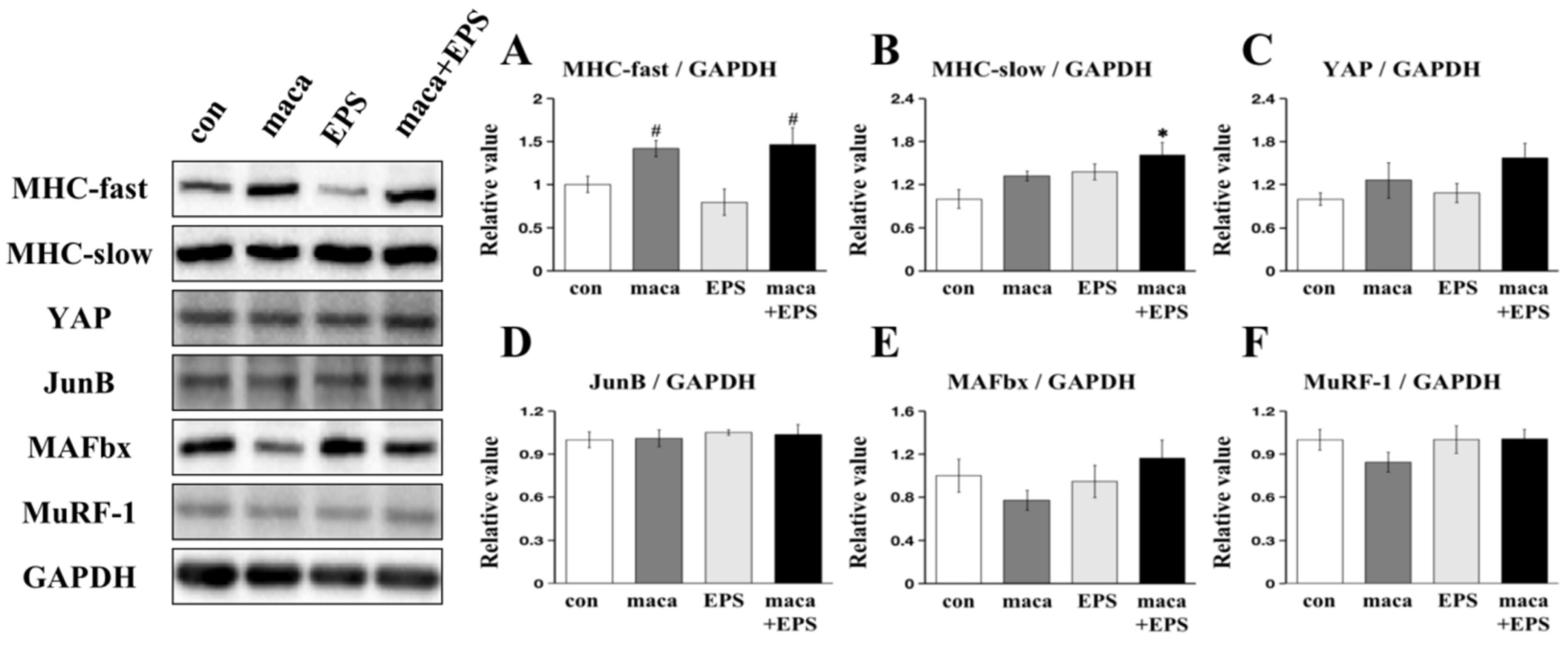 Nutrients 15 04083 g002