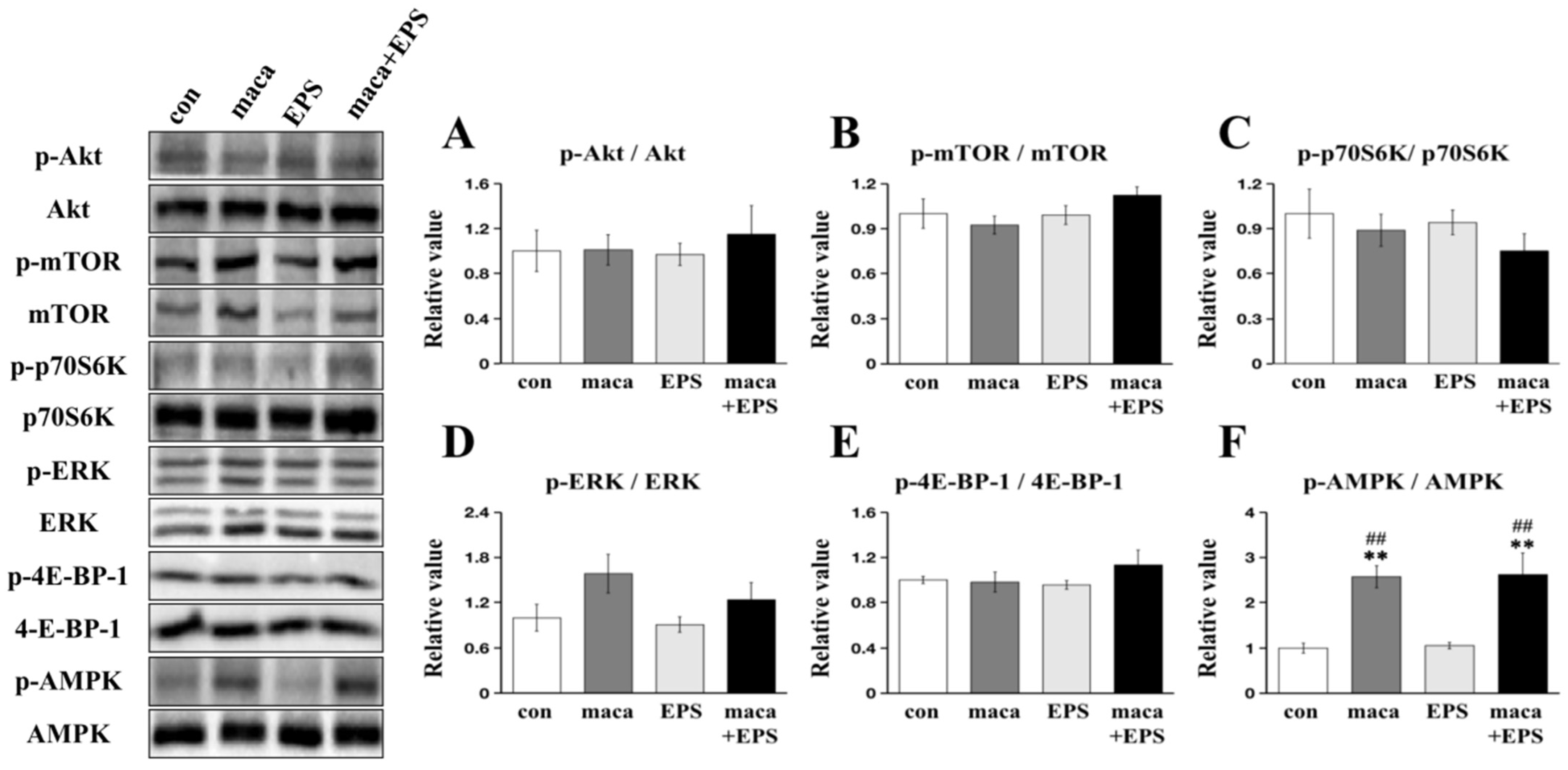 Nutrients 15 04083 g003