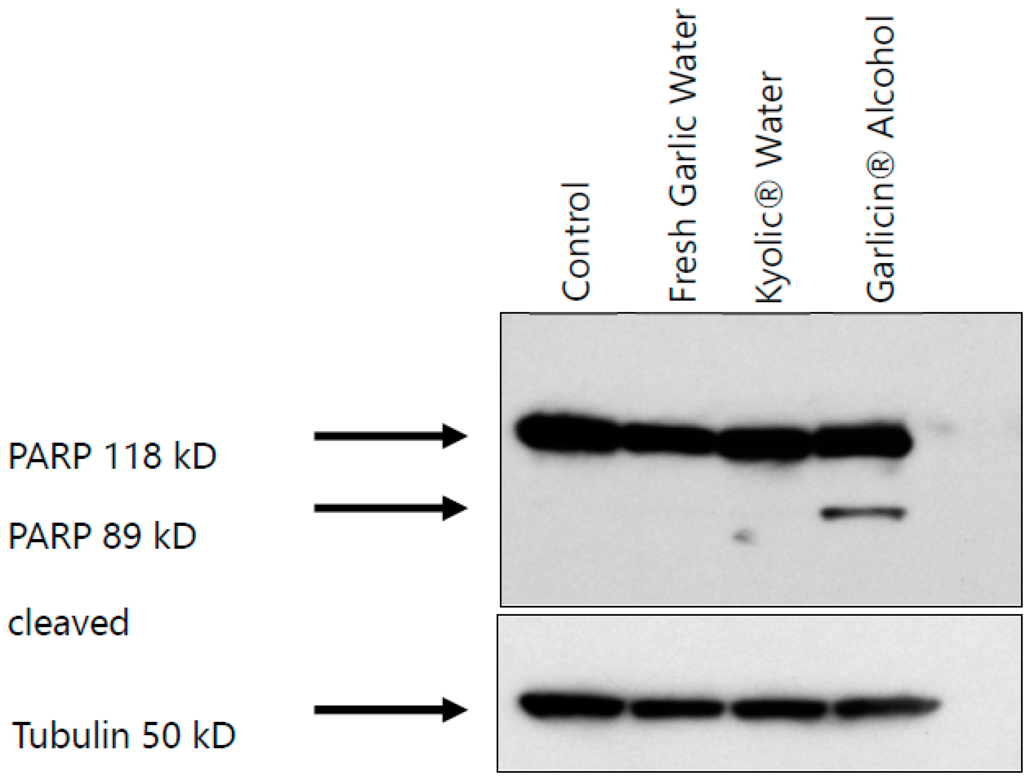 Nutrients 15 04099 g005 Nutrients 15 04099 g005