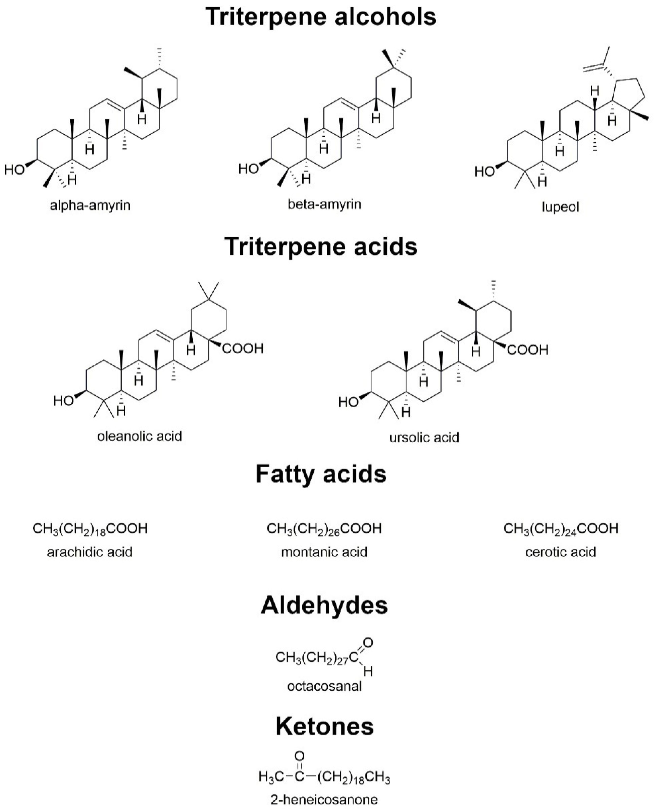 Nutrients 15 04119 g010 Nutrients 15 04119 g010