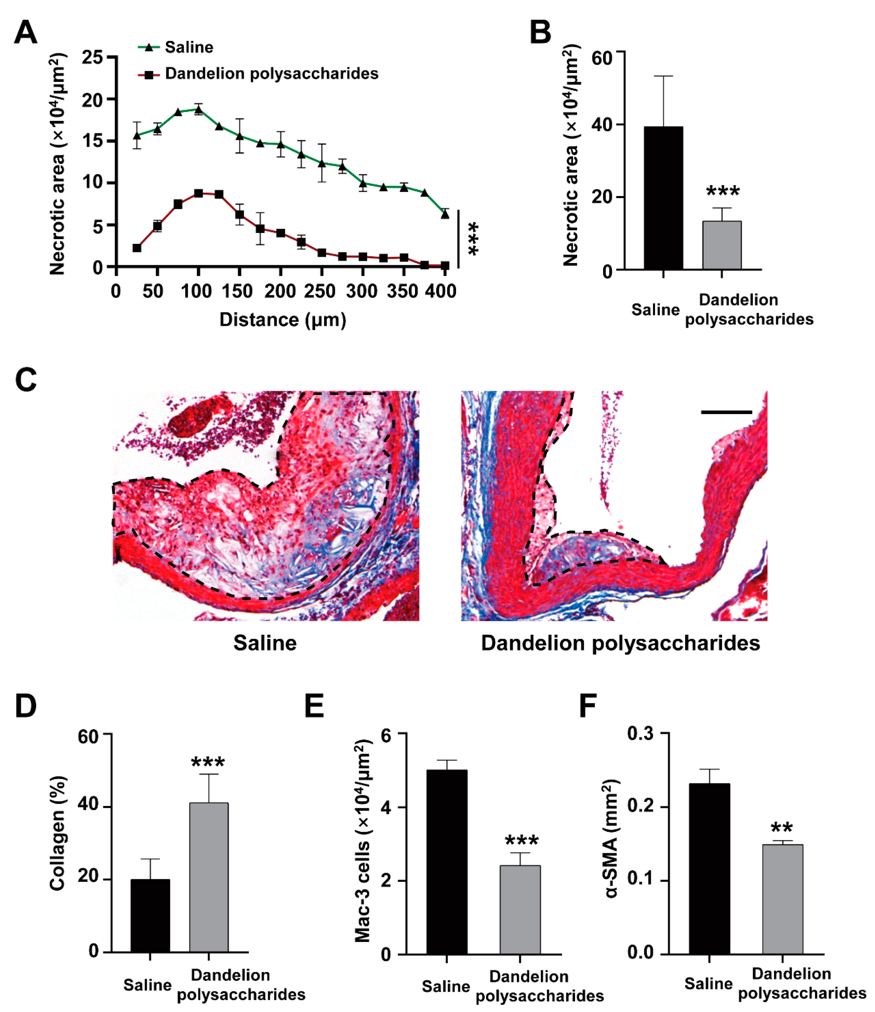 Nutrients 15 04120 g006 Nutrients 15 04120 g006