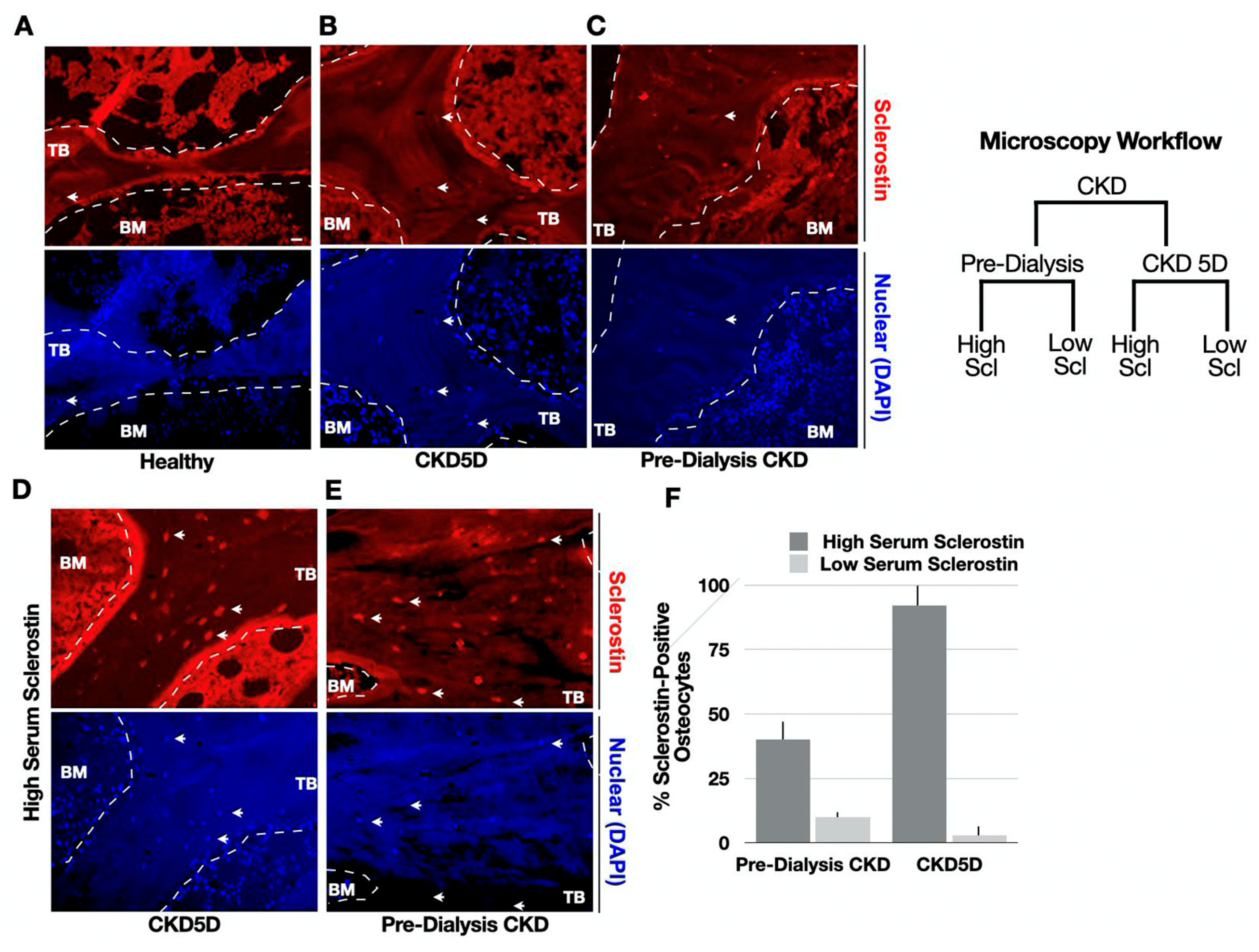 Nutrients 15 04127 g002