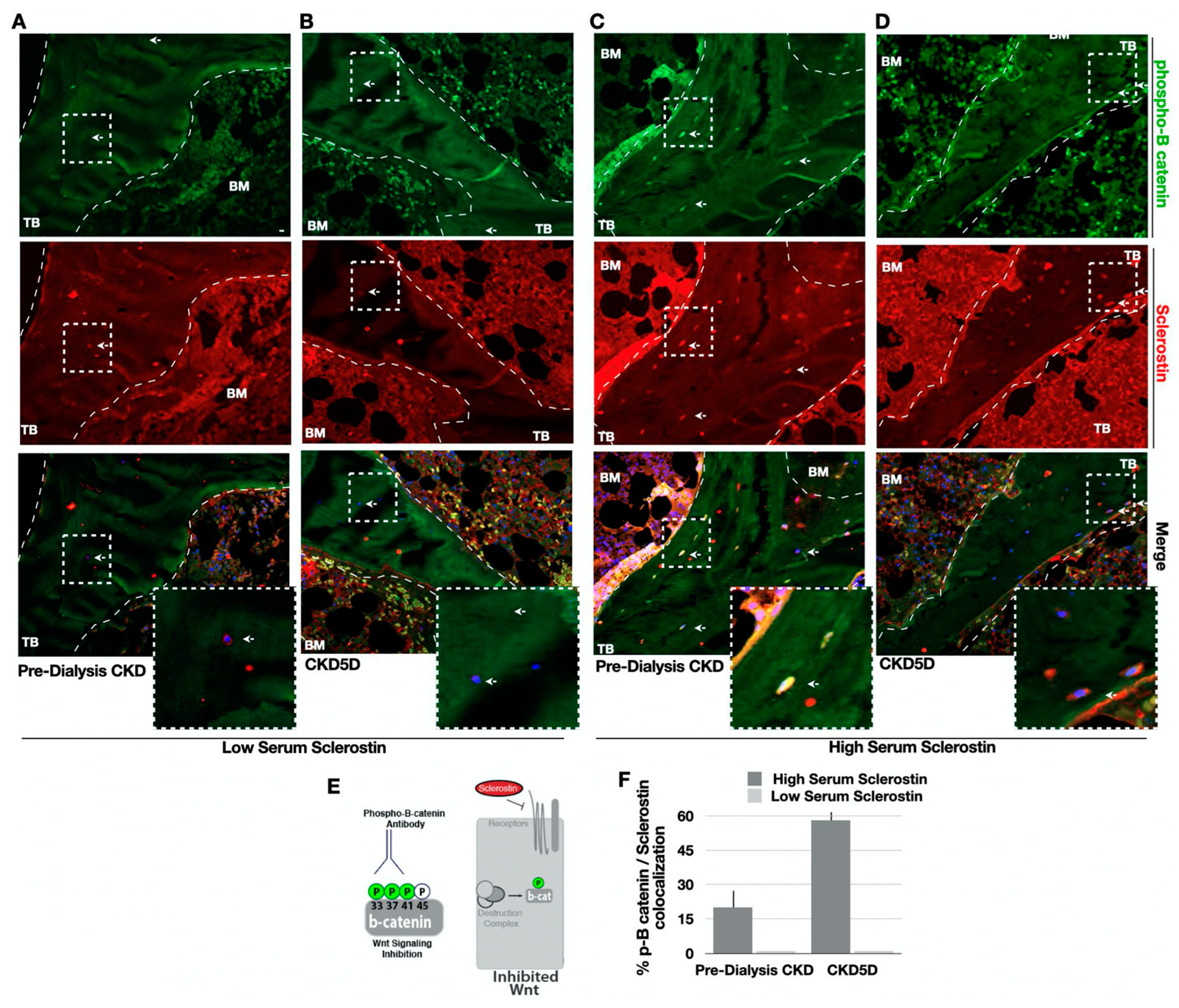 Nutrients 15 04127 g003
