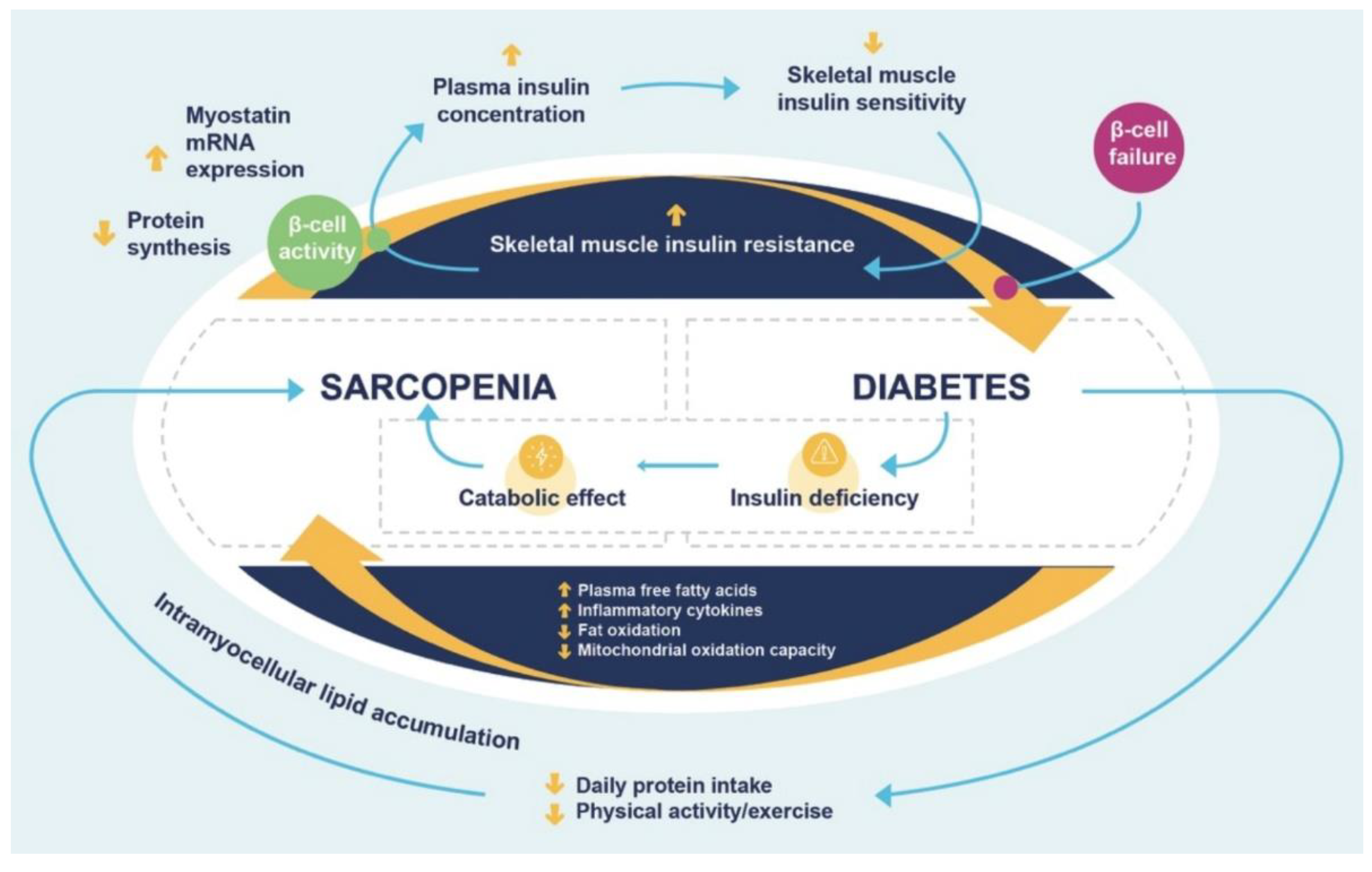 Nutrients 15 04149 g001