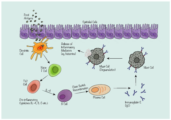 Probiotics and the Potential of Genetic Modification as a