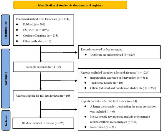 大人気アイテム and Diet Ketogenic Multiple Umbrella An Outcomes: Health ラウンド用品・アクセサリー
