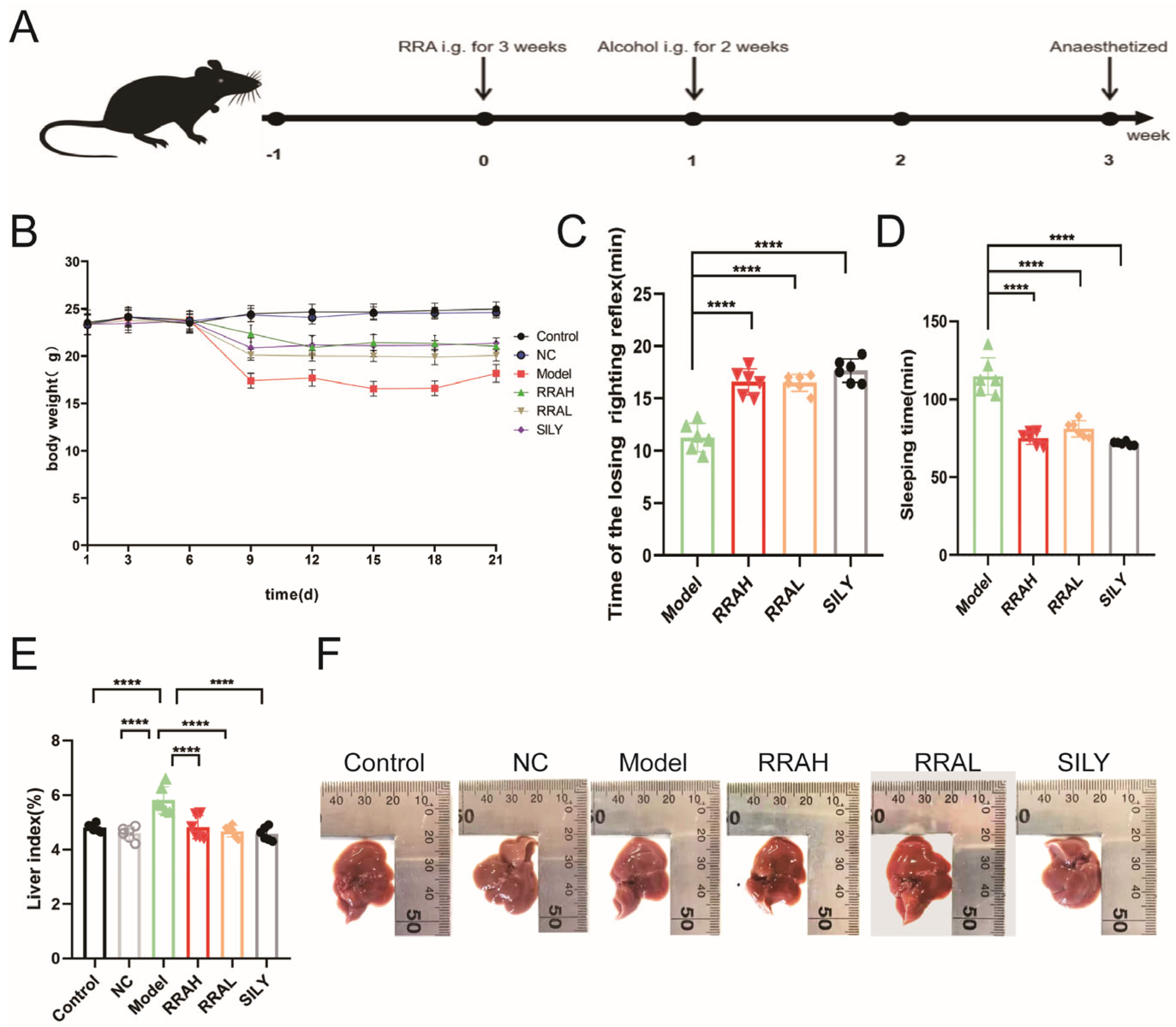 Nutrients 15 04176 g002