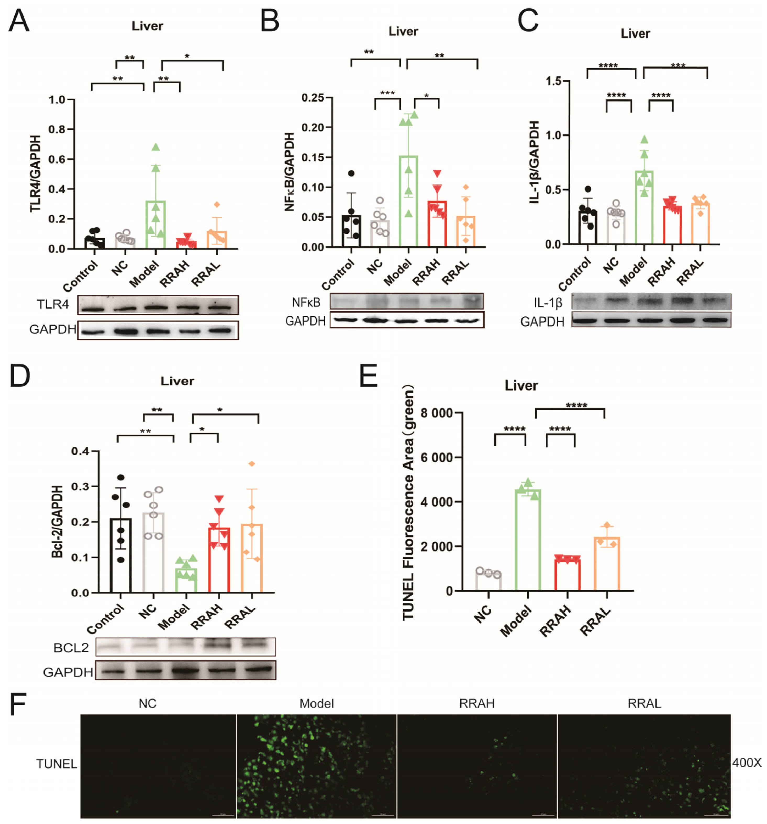 Nutrients 15 04176 g006