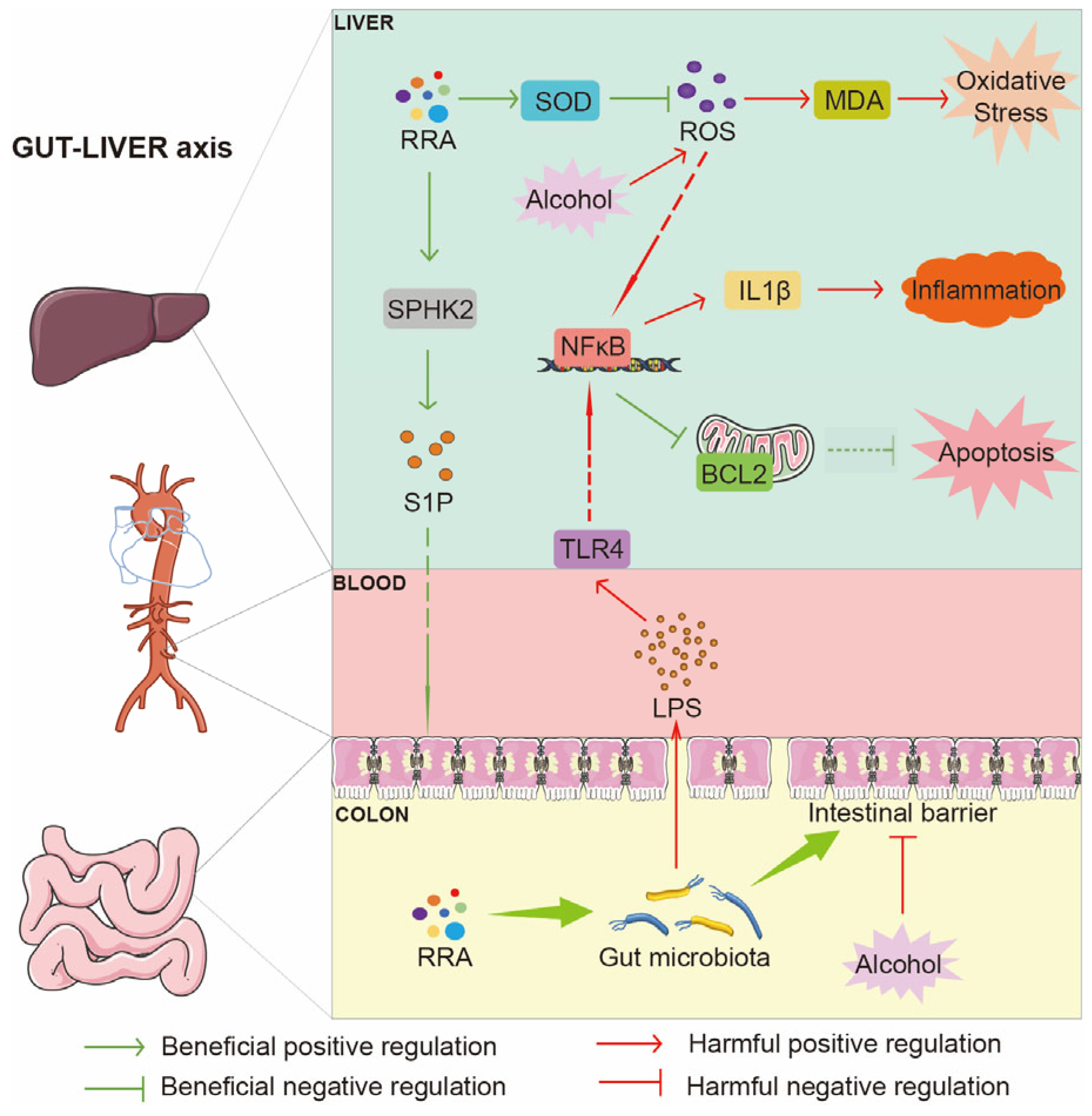 Nutrients 15 04176 g008