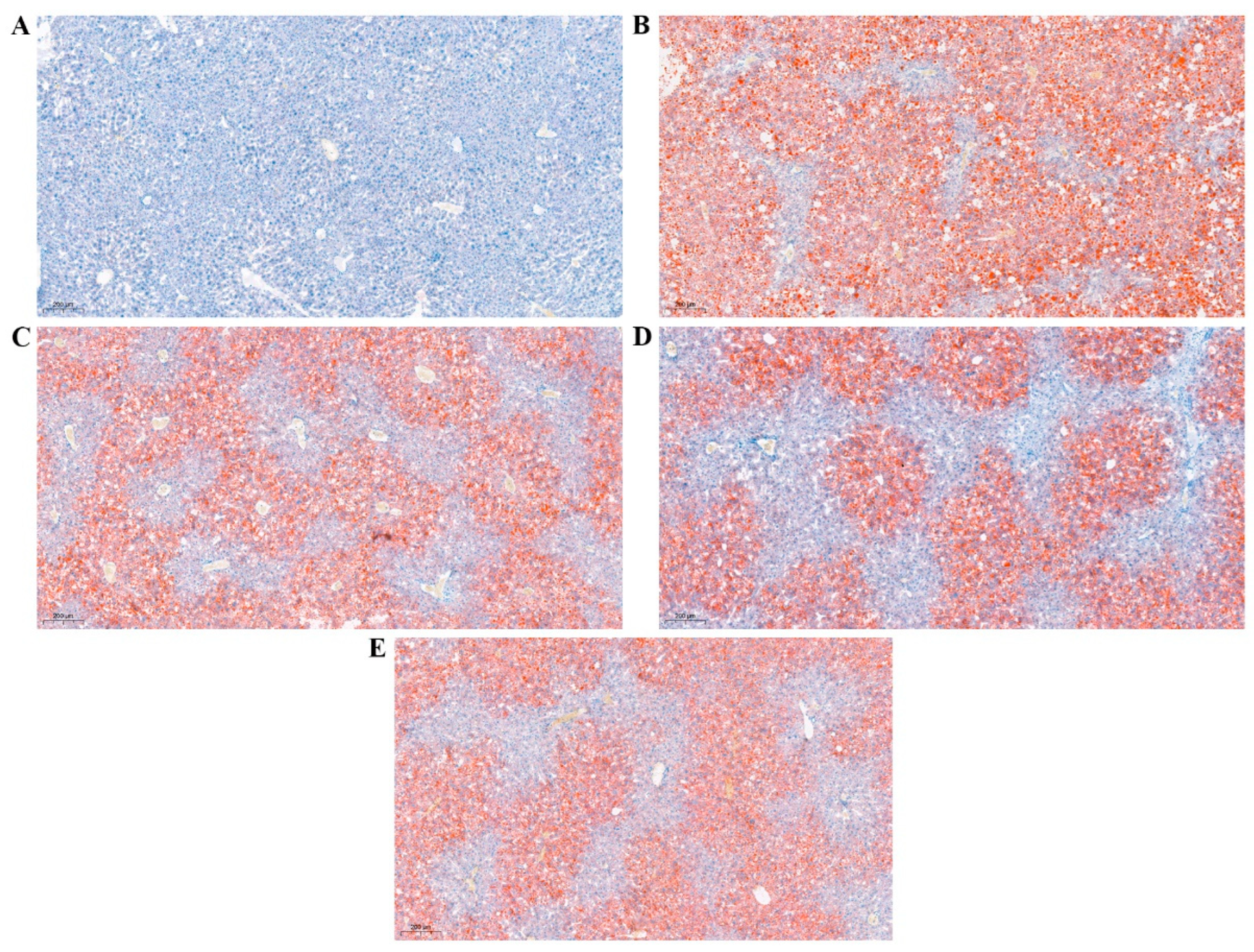 Nutrients 15 04187 g002