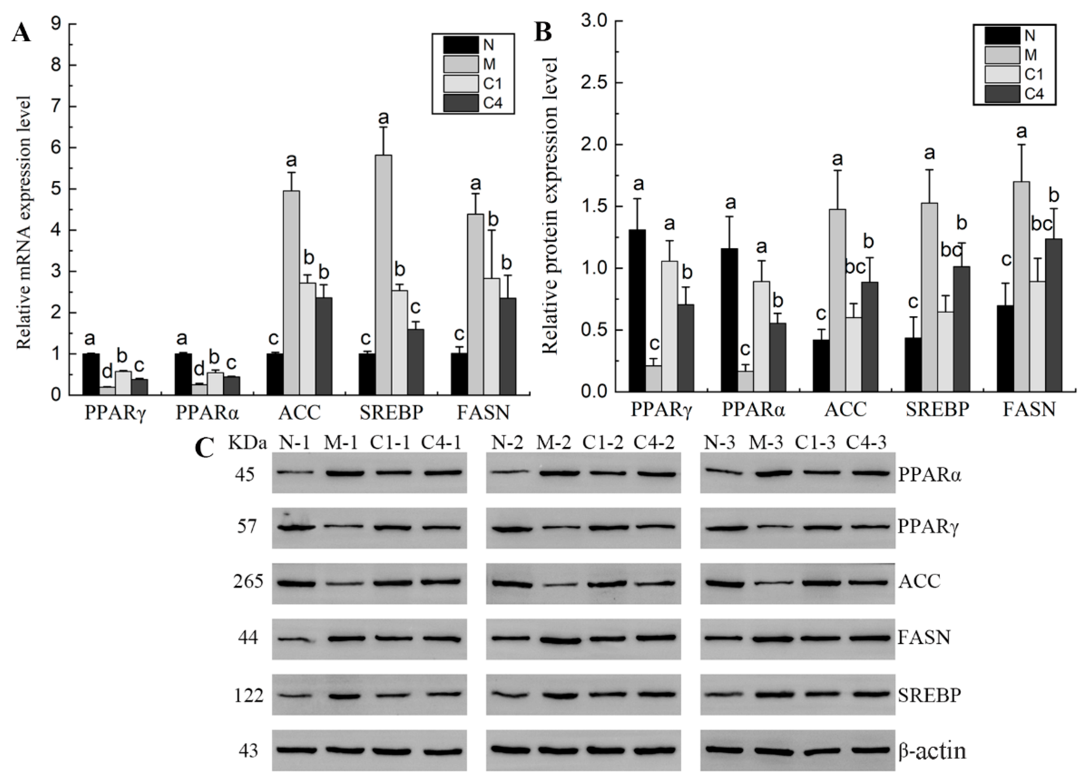 Nutrients 15 04187 g006